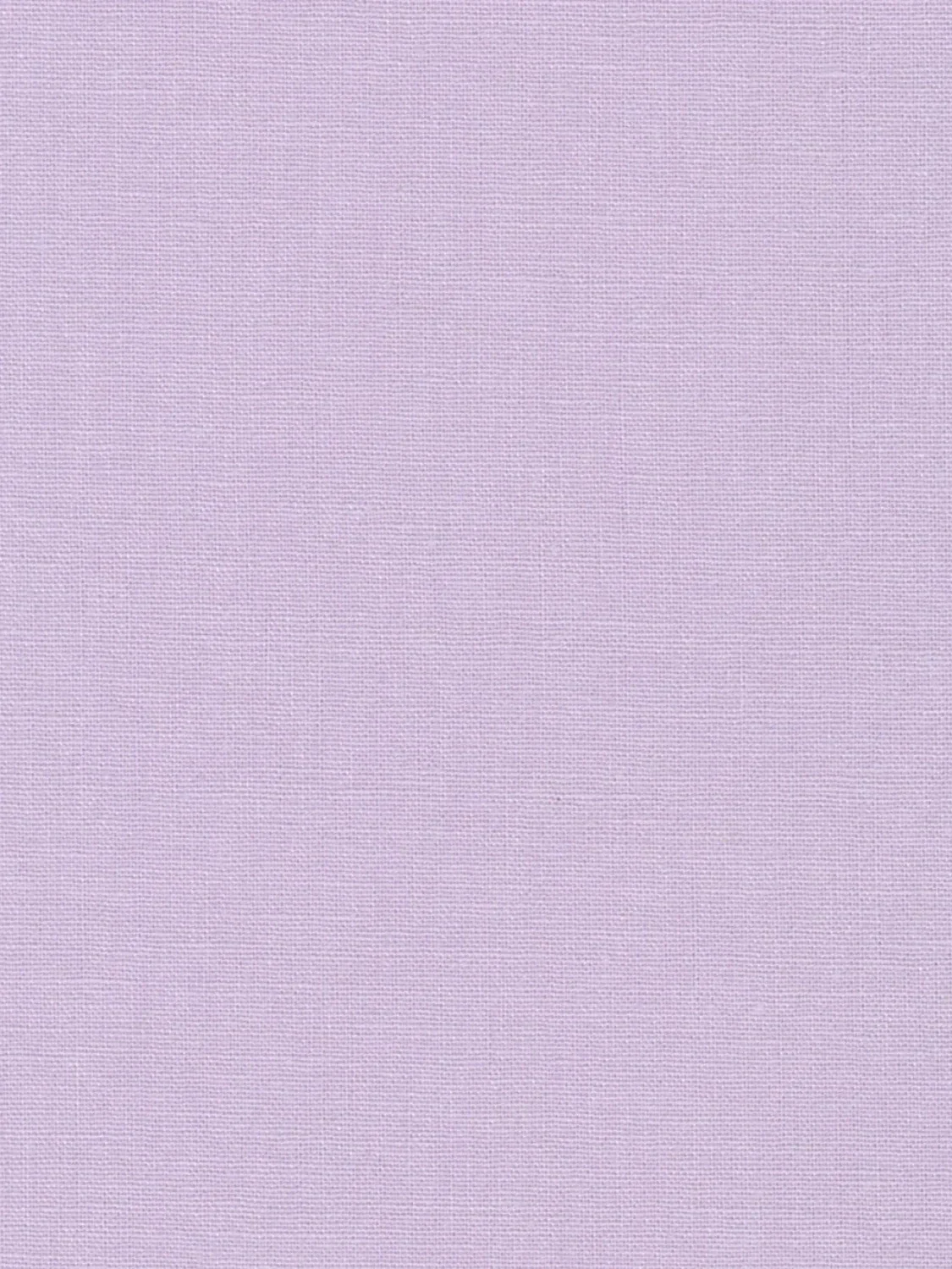 E014-THISTLE.webp
