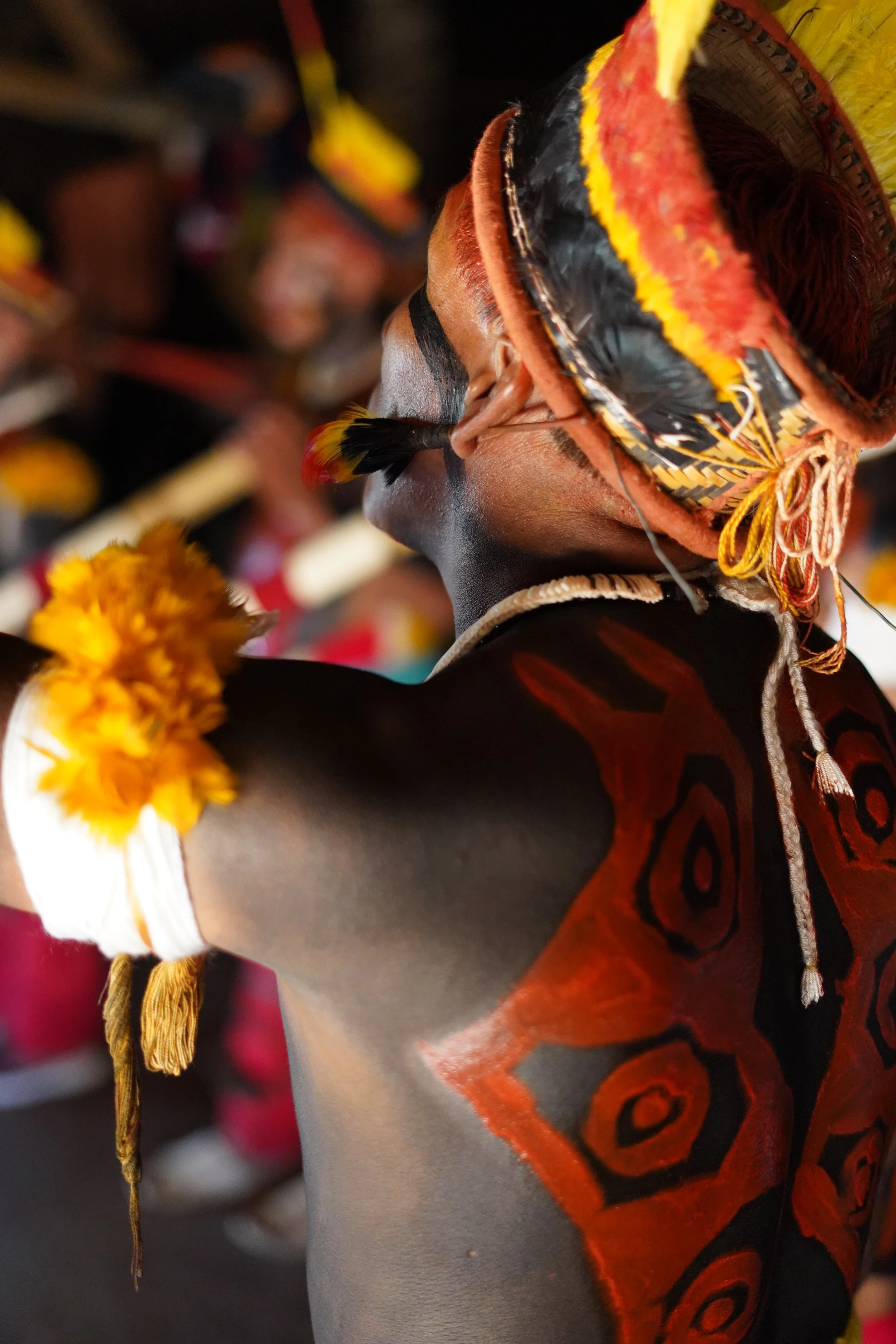 Xingu Colours: Indigenous Design, Craft, and Collaboration in the ...