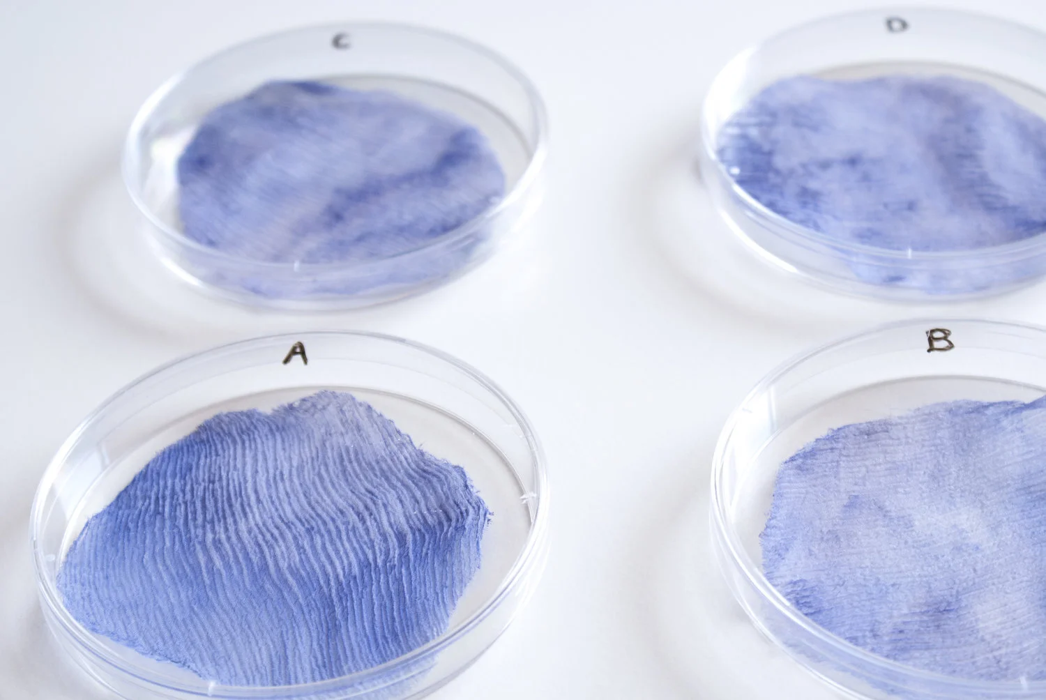 From Bacteria to Colour the Organic Method of Textile Dyeing — Plural