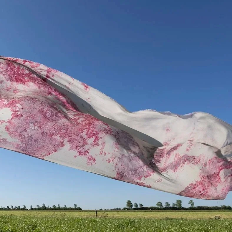 Colour Grown from the Land