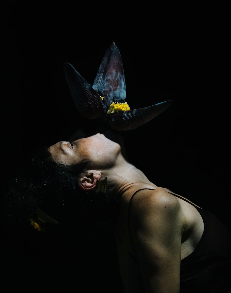 Compositions from the Amazon
