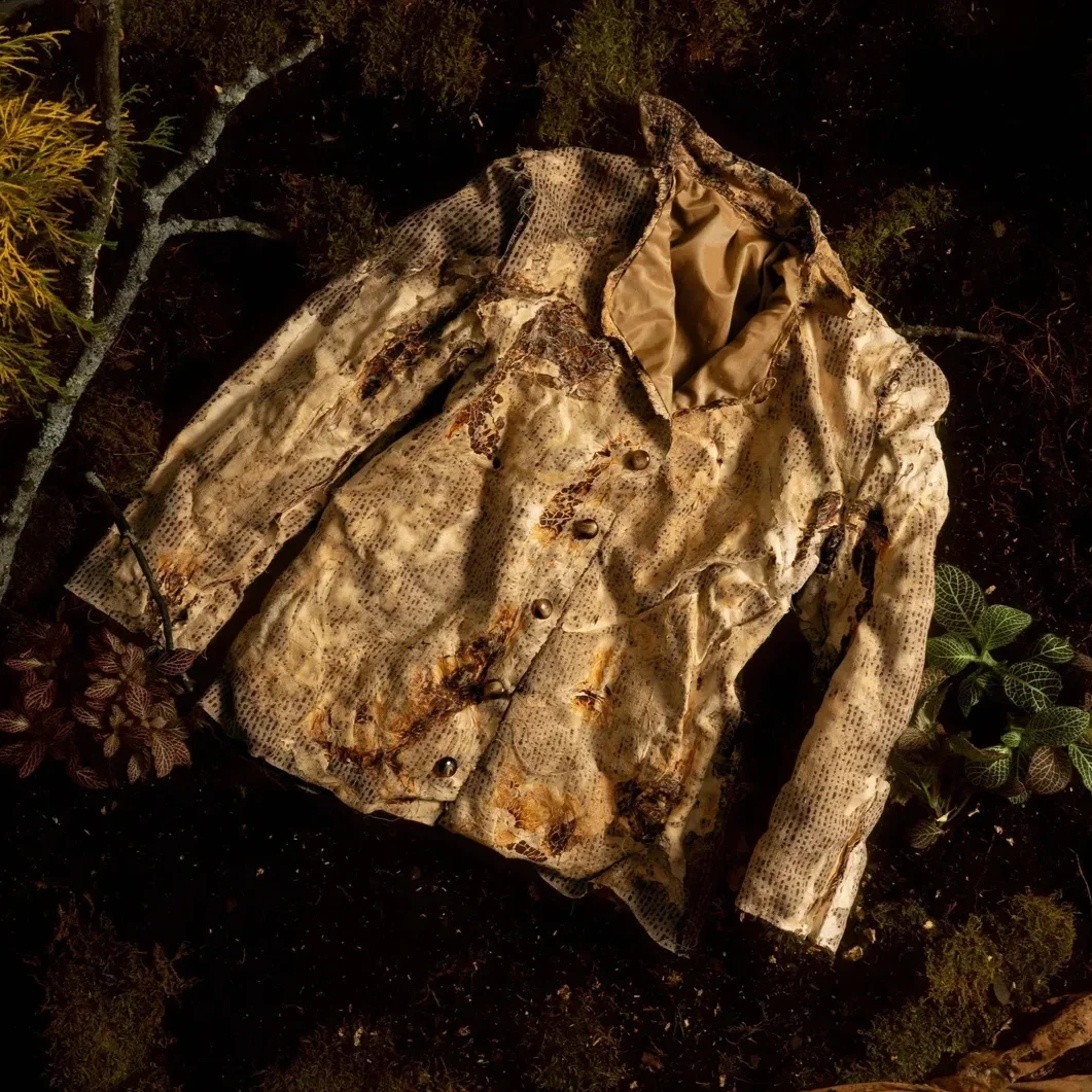 Material in Transition