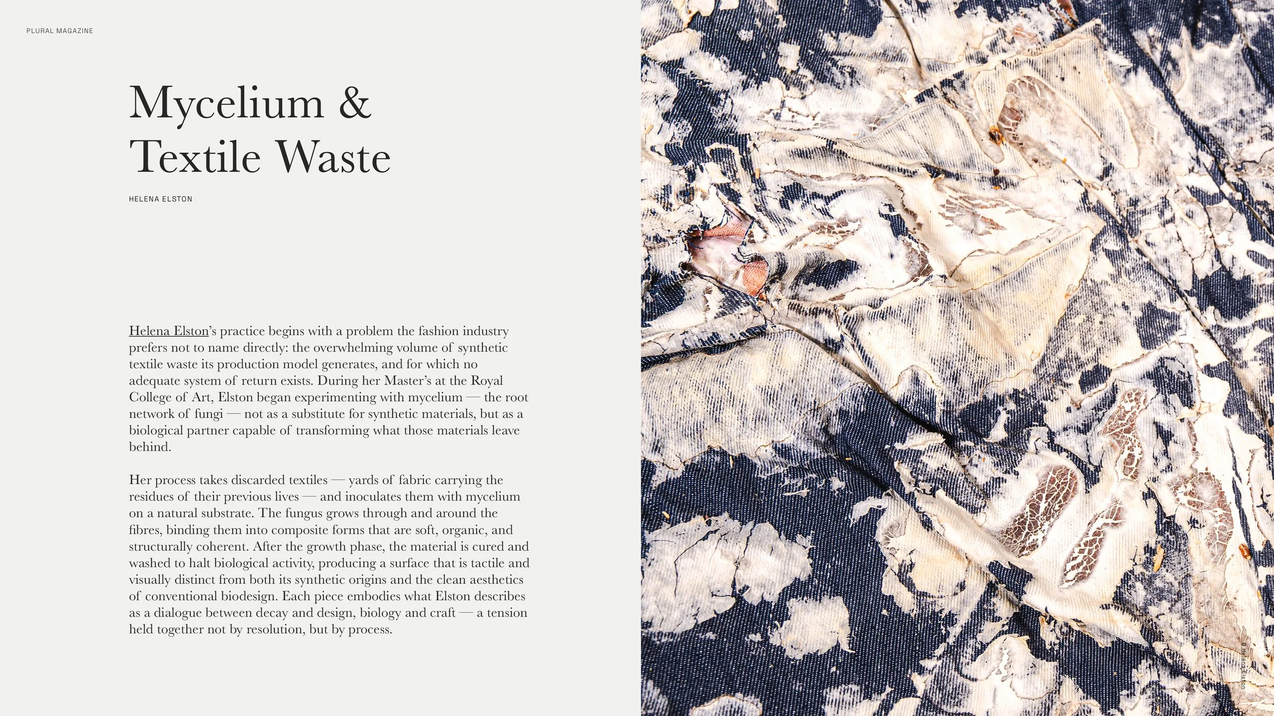 Plural Issue 001_Beyond Territory_Final_12_Jun_75.jpg