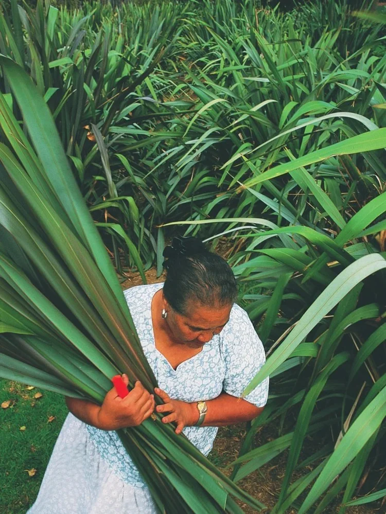 The role of traditional plant-based handicrafts in biodiversity ...