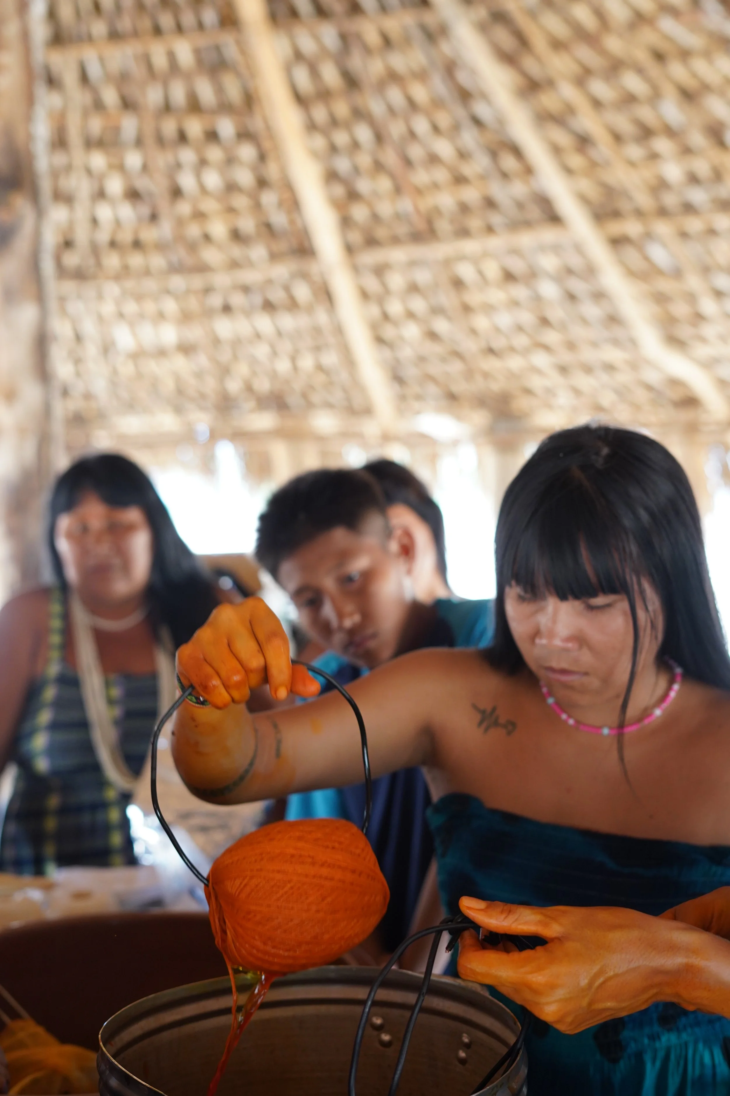 Xingu Colours: Indigenous Design, Craft, and Collaboration in the ...