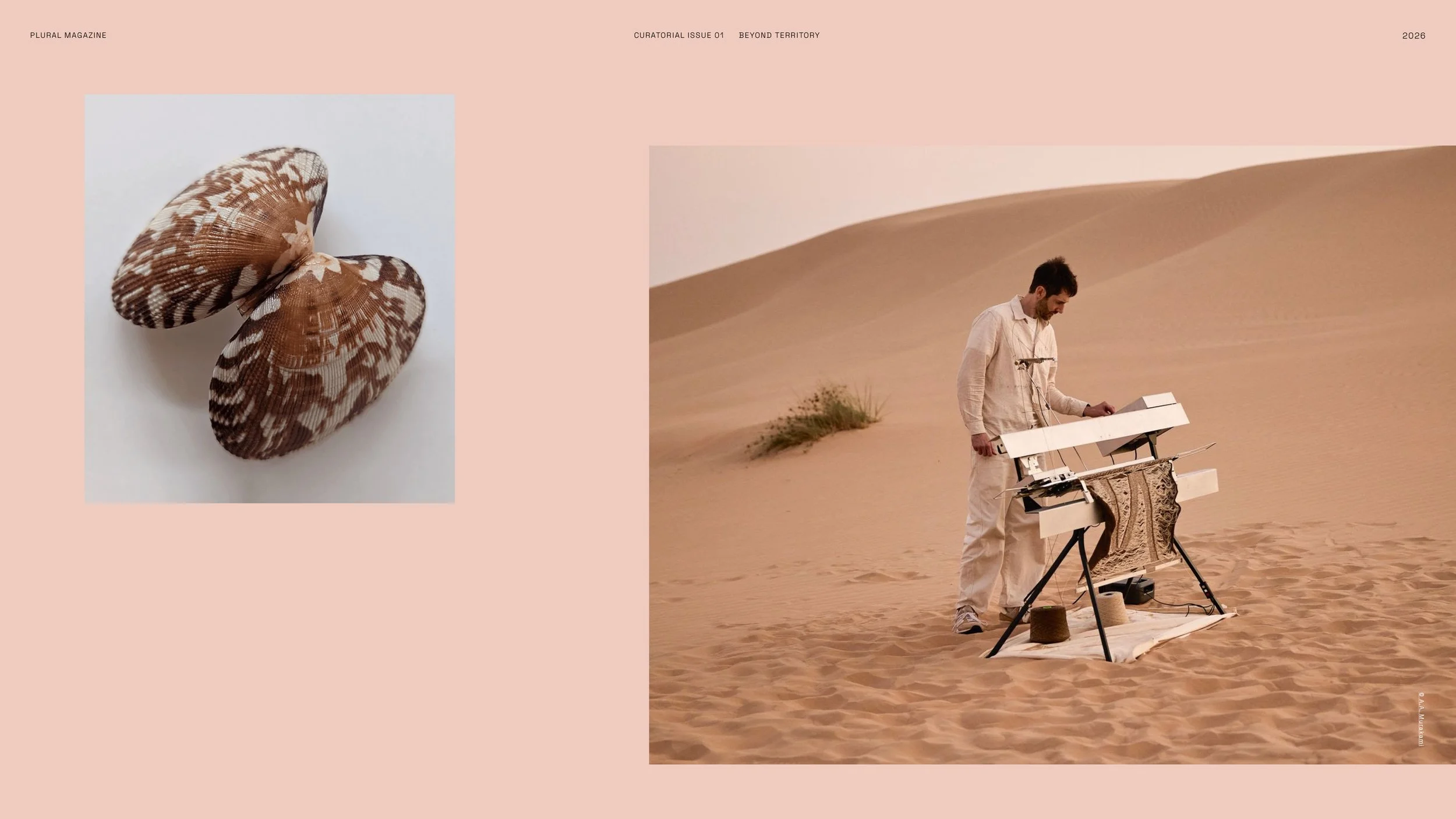 Plural Issue 001_Beyond Territory_Final_12_Jun_33.jpg