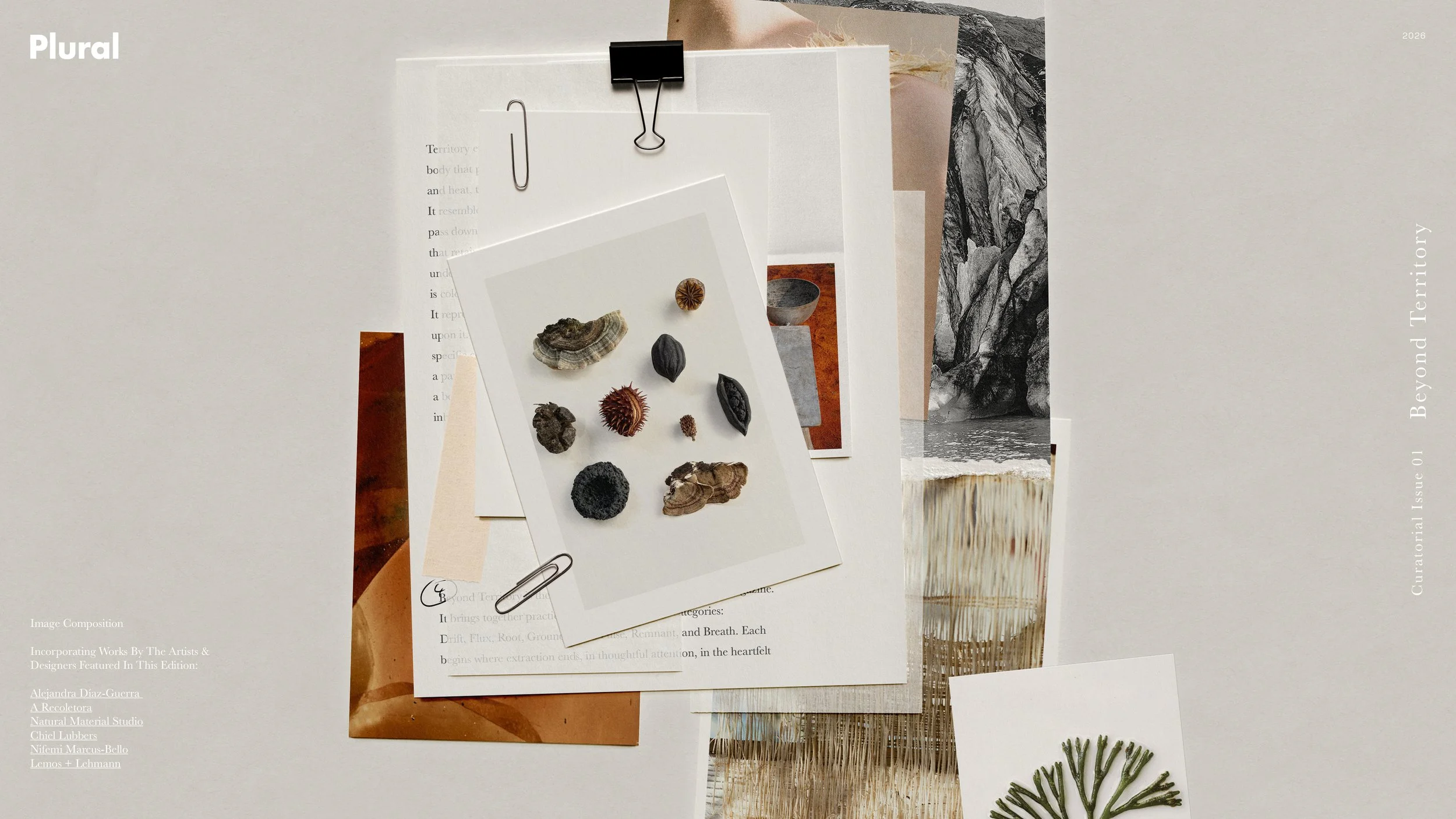 Curatorial Issue 01: Beyond Territory