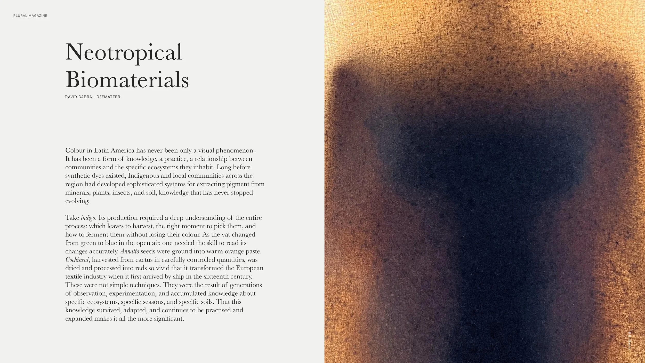 Plural Issue 001_Beyond Territory_Final_12_Jun_41.jpg