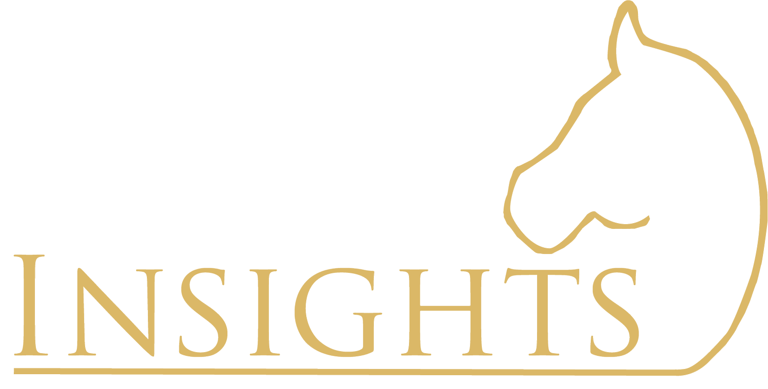 Insights