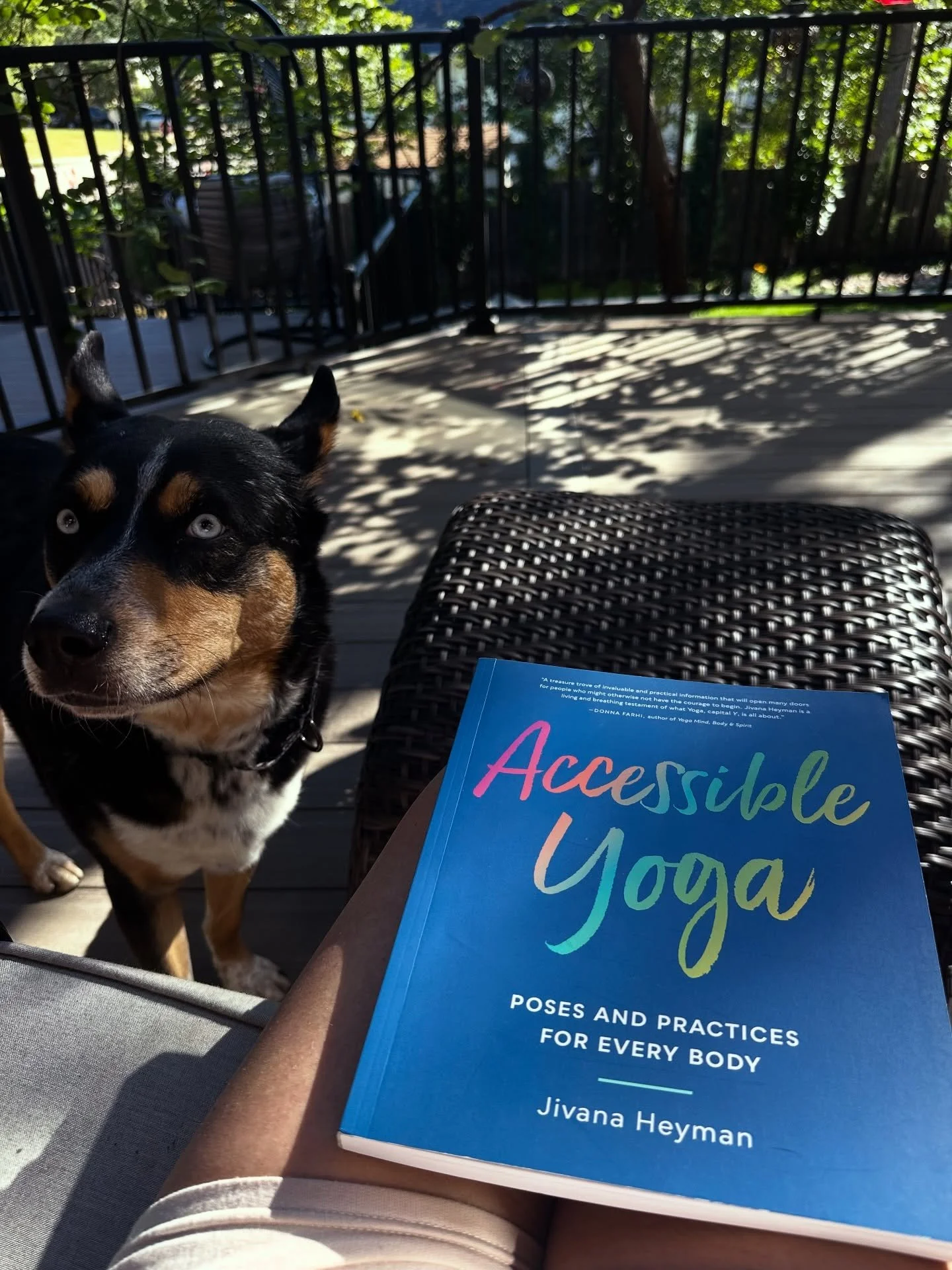 Preparing for a very special upcoming workshop I&rsquo;ll be teaching, and revisiting one of my favorite resources- Accessible Yoga by Jivana Heyman. This work continues to inspire how I teach and practice. 🌈💙

#AccessibleYoga #YogaForAll #YogaTeac