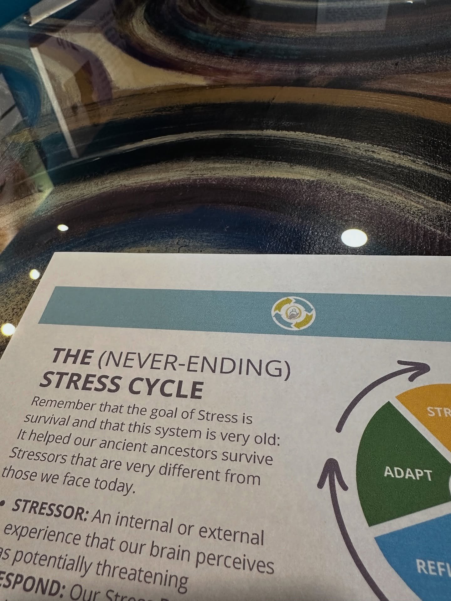 Getting ready to speak with an incredible organization today on one of my favorite topics — Engaging with Stress.
Not just managing it, but learning to understand it, partner with it, and grow through it. ๐ฉต
#Wellness #StressAwareness #Mindfu