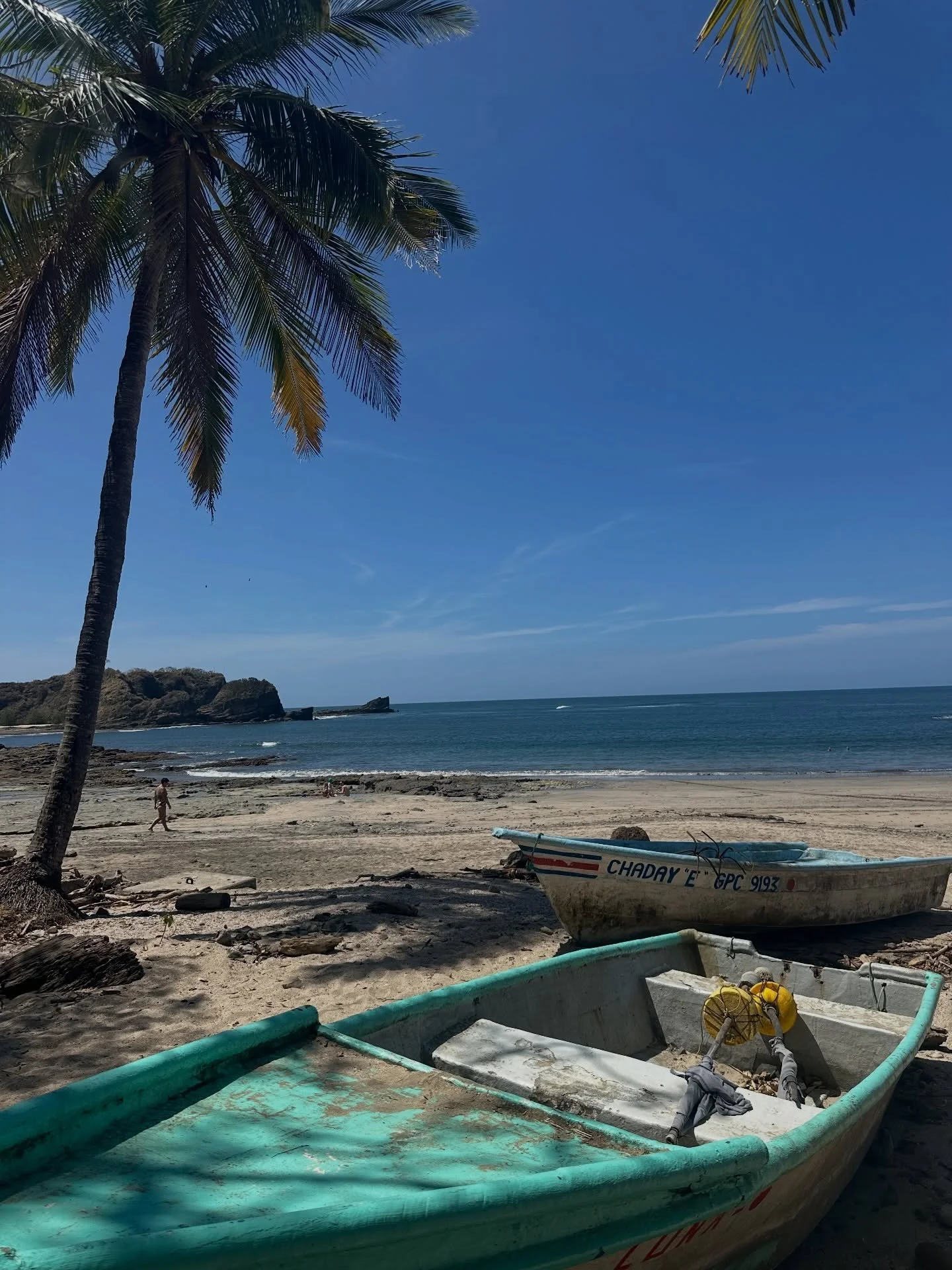 $200 off the Costa Rica retreat! ✈️🌊🌴🦥🥭

Join us February 6-12 in a tropical paradise! 🏝️ 🐠 

The True Nature Giving Back Celebration begins today! 🌍 

Save $200 on your retreat with code GRATEFUL25, and $50 from every registration supports gl