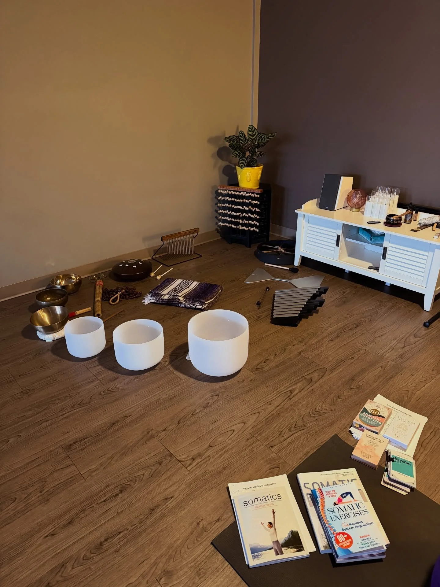 Somatics, Yoga &amp; Integration weekend training. 🫶🏽🥣✨