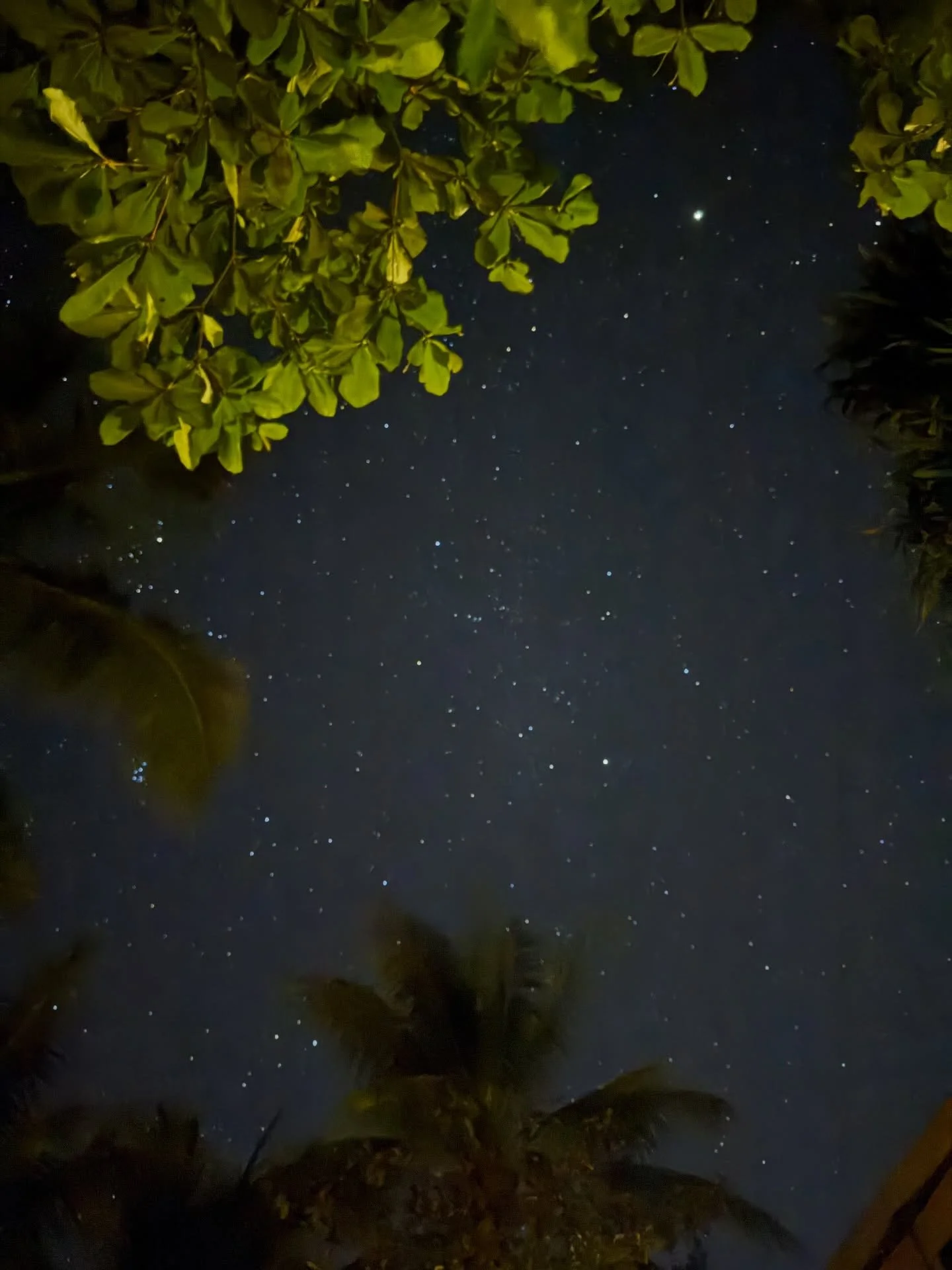 Unfiltered, unedited picture of the stars last night in Costa Rica! ✨💫

#stars #starrynight
