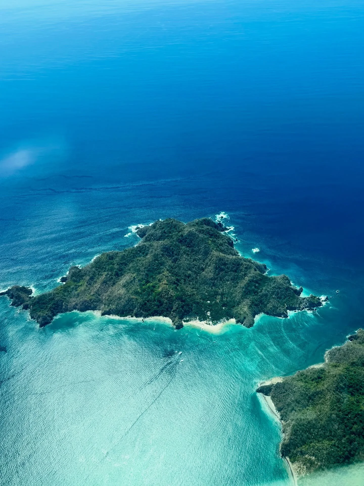 This is Tortuga Island where we snorkeled the other day! And pics from my last lunch, dinner and breakfast in Santa Teresa. 🏝️🌊🐠🐦&zwj;⬛
