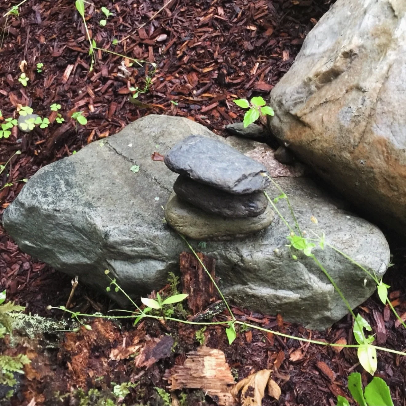 I have very exciting news coming soon about a retreat on the east coast June 6-11, 2027! 🌿
I can&rsquo;t say more yet, but it&rsquo;s going to be epic! ✨
Mark your calendars and I&rsquo;ll share more as soon as I can! 🎉 
Hint: it&rsquo;s not Maine!