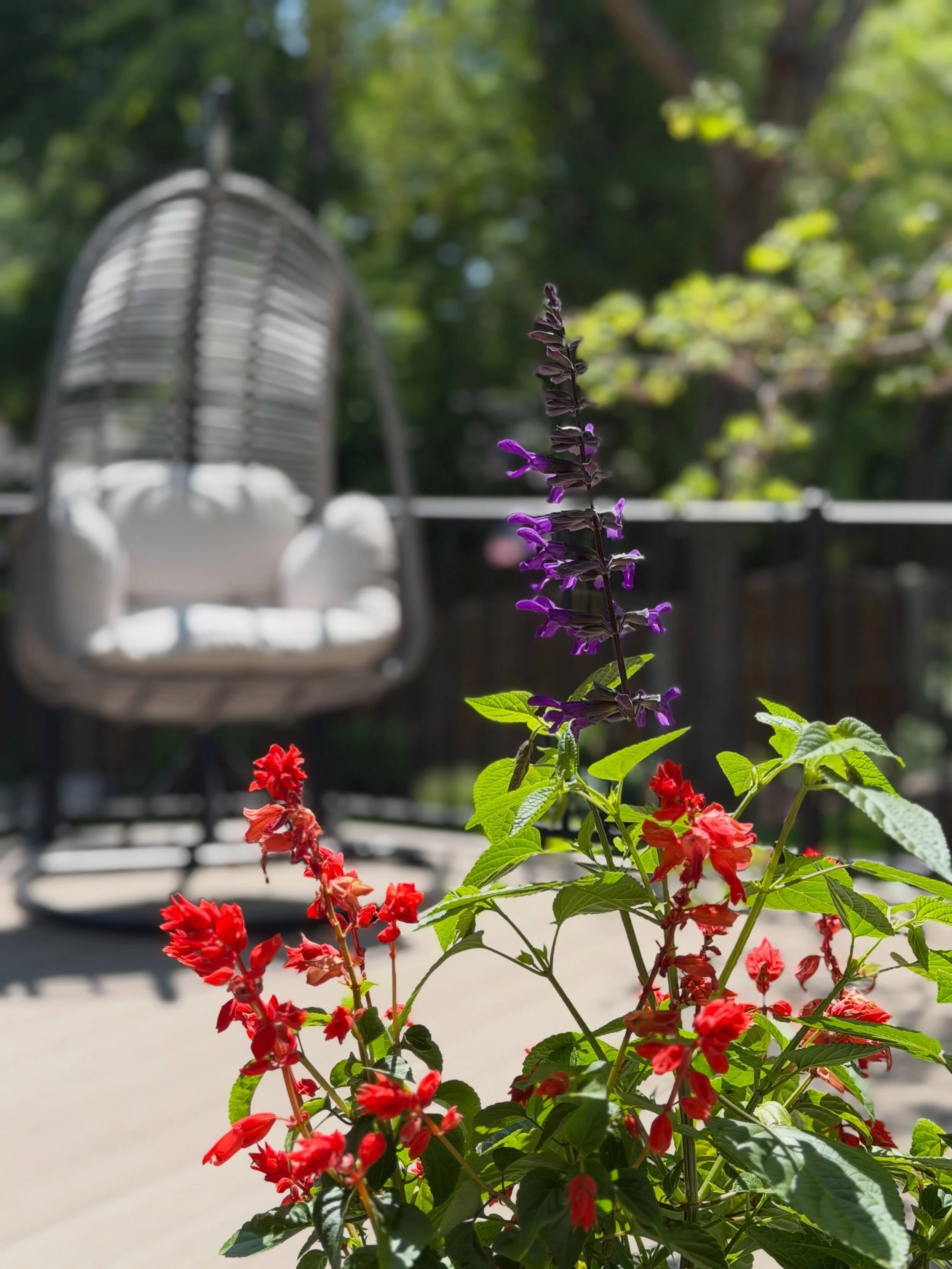 Being outside is my favorite, especially Spring! I think part of the reason why is that it&rsquo;s such an amazing nervous system regulator. Between the sun, the flowers, and birds, it makes me feel so calm and helps put life in perspective. 🌺🐦&zwj