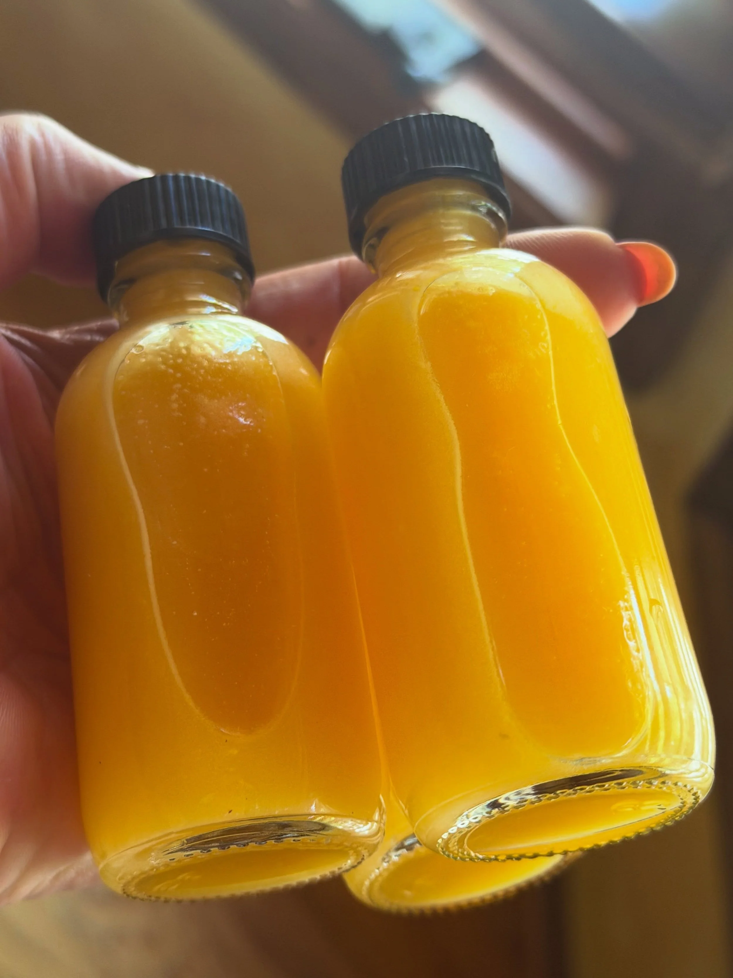 Made &ldquo;Wellness Shots&rdquo; for the family this morning. I can&rsquo;t say for sure, but I  think they have helped me stay healthy- even when house members had a terrible respiratory bug recently! 🚫 🦠 

Recipe is usually oranges, lemon and gi