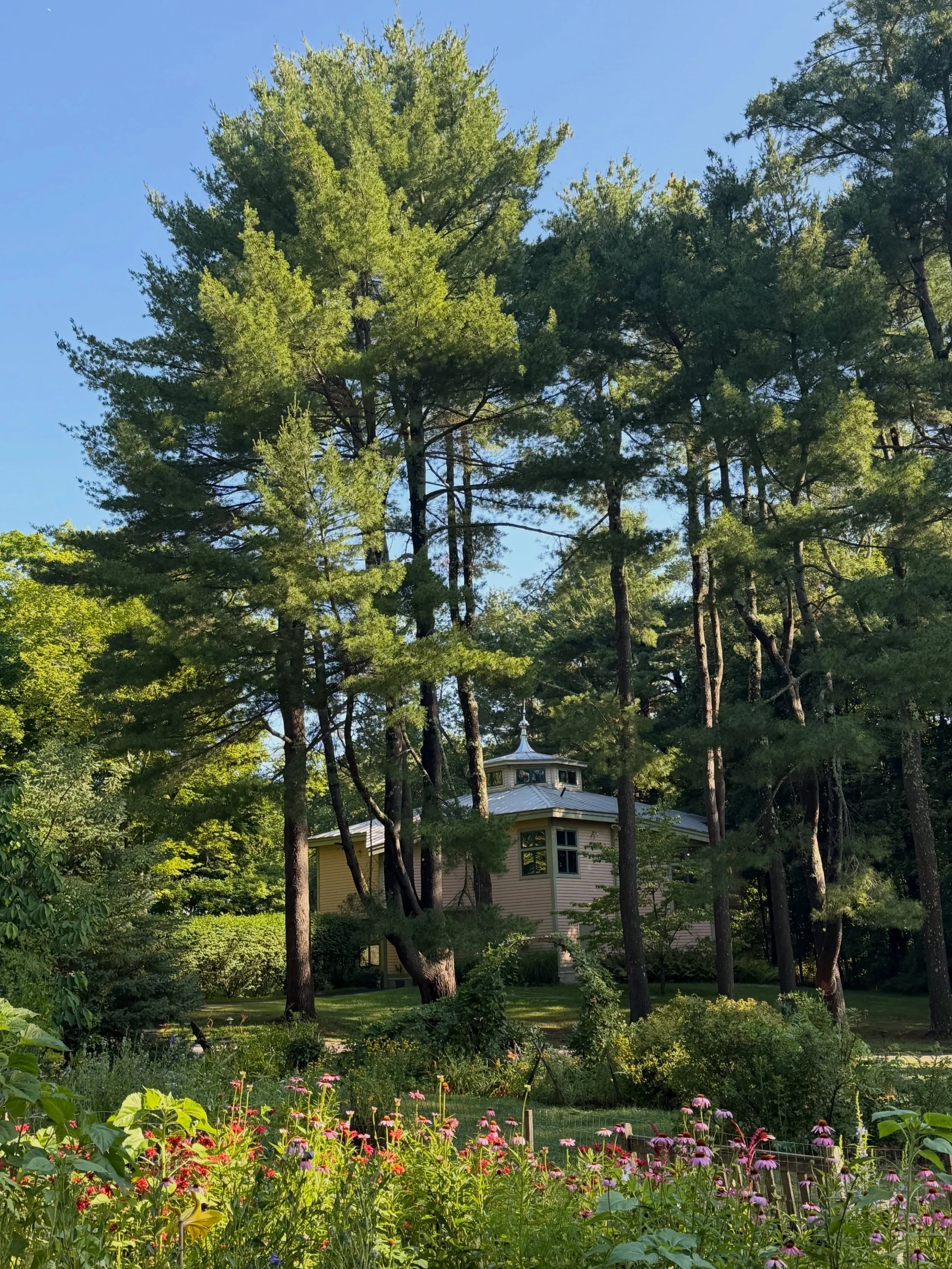 The sun is out today at the Omega Institute. ☀️🌻🪷

#omegainstitute