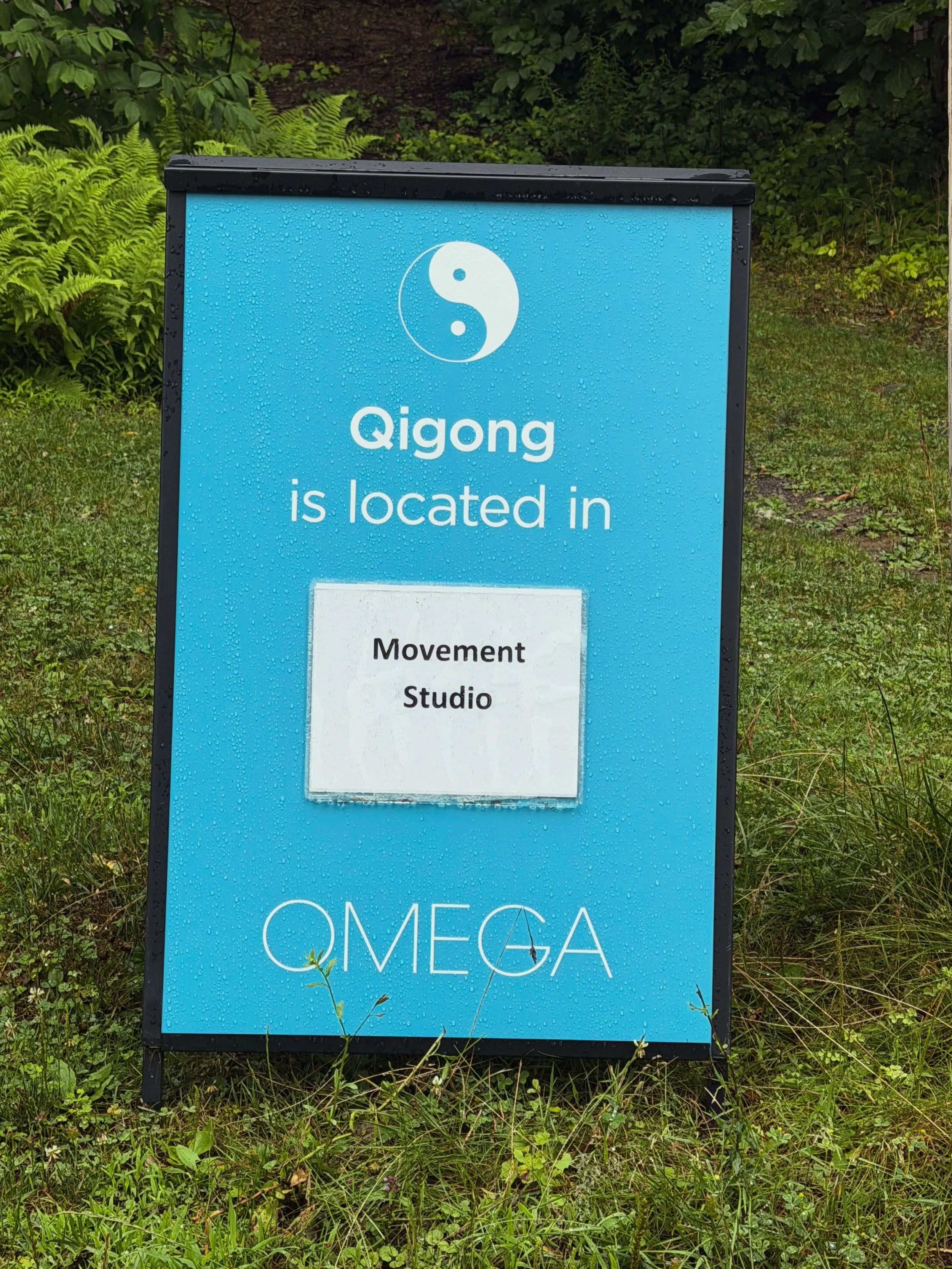 The past 24 hours at Omega Institute; Yoga, Tai Chi, massage, groundhogs, birds, Vagus Nerve &amp; the nervous system. 🧘🏻&zwj;♀️🤲🏽💆🏻&zwj;♀️🦫🐦&zwj;⬛🧠