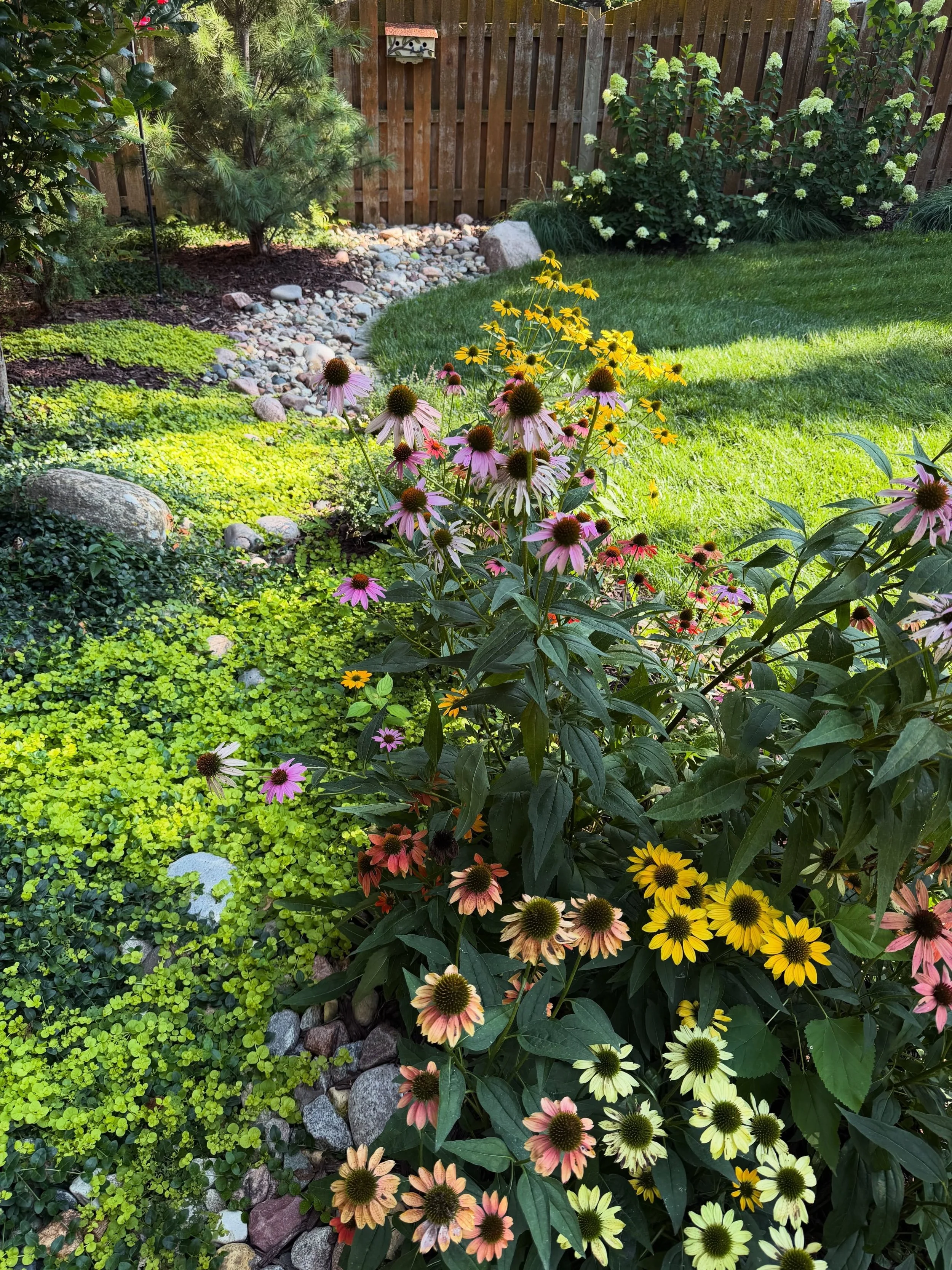 Being in my backyard with my dogs and hummingbirds is one of my happy places. Specifically in this hanging chair. Bonus points if it involves iced coffee and journaling. Extra bonus points if it involves 1+ family members hanging out with me too. 10/