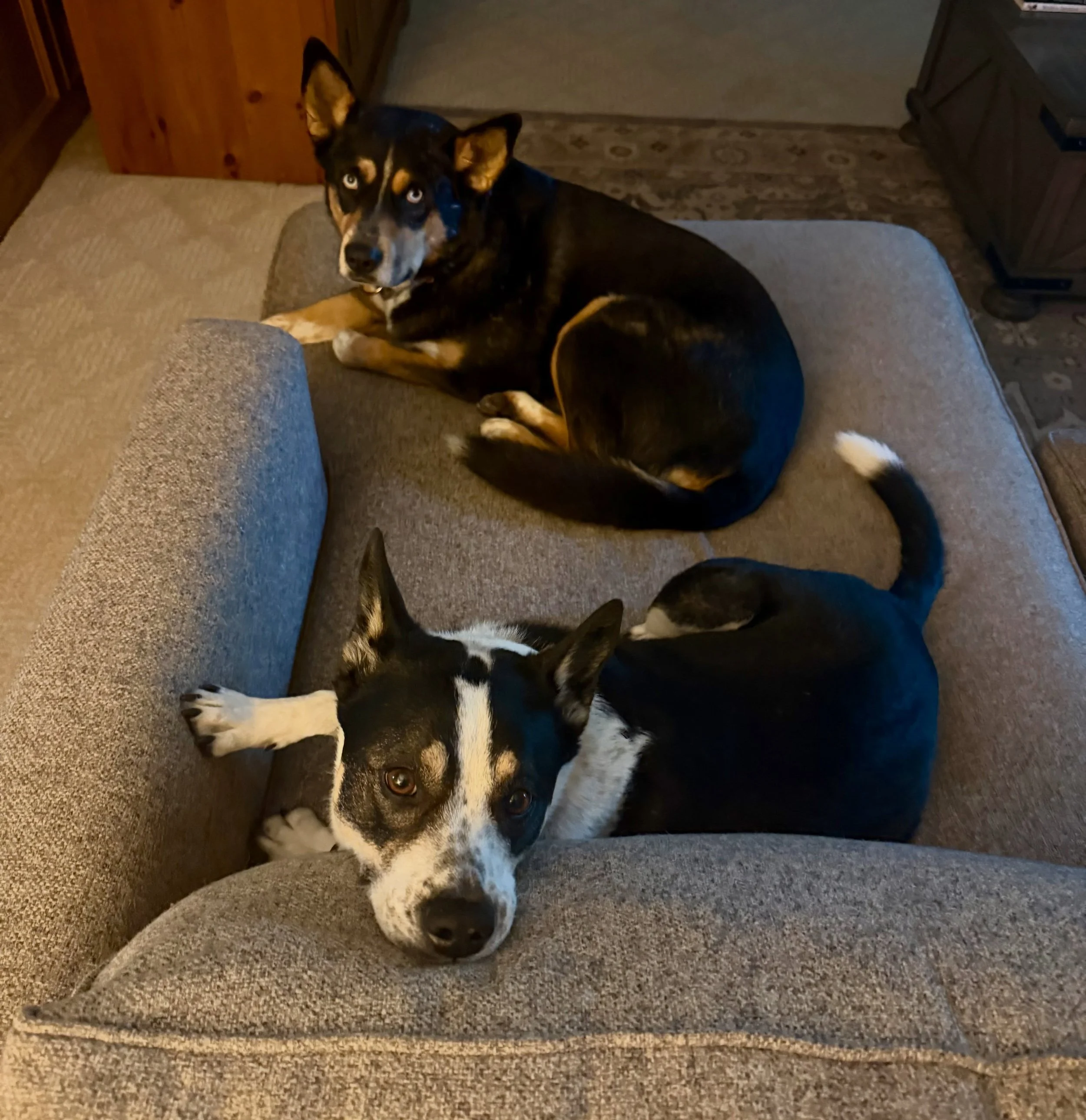 Rainy day, work from home vibes. ❤️

#heelermix