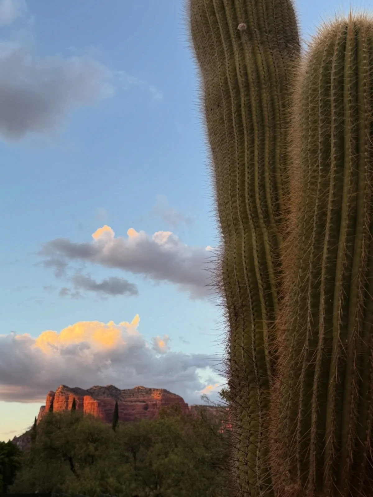 I arrived in Sedona exactly at sunset. Arrived. Ahhhh&hellip; ARRIVED. I like the sound of that! 🌅 
And I cannot wait to see everything in the morning! And to see everyone arriving around 3pm!!! ✈️🏜️✨
And I&rsquo;m so  here for this vortex energy! 