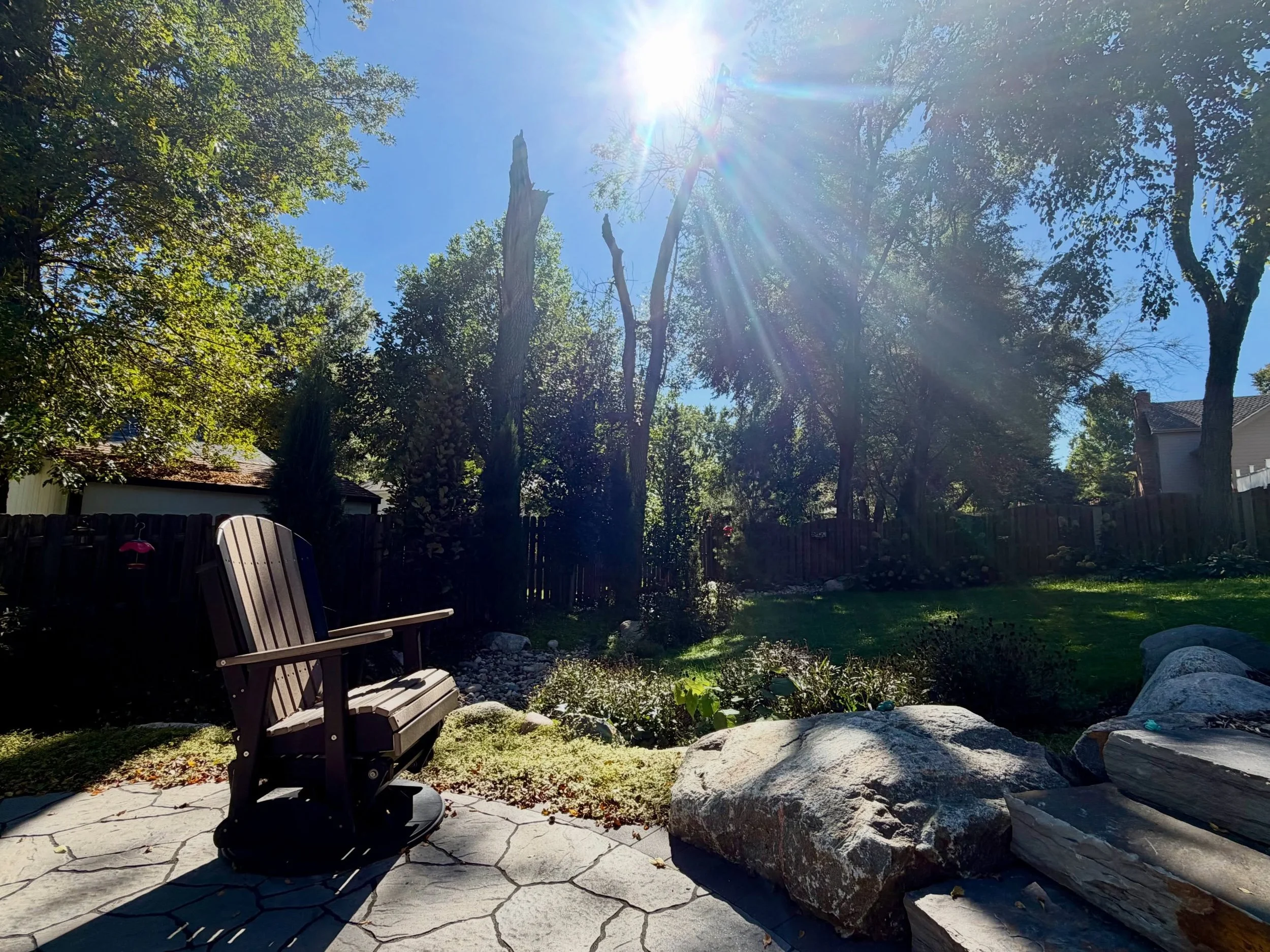 So grateful for the sun after weeks of clouds and rain. ☀️

It feels like a fitting metaphor for my life lately, too&hellip; 🎢

Today I&rsquo;m just soaking it up with my dogs and being reminded, once again, how deeply nature, sunlight, fresh air, a