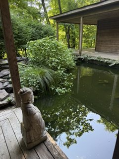 IMG_6020.jpeg