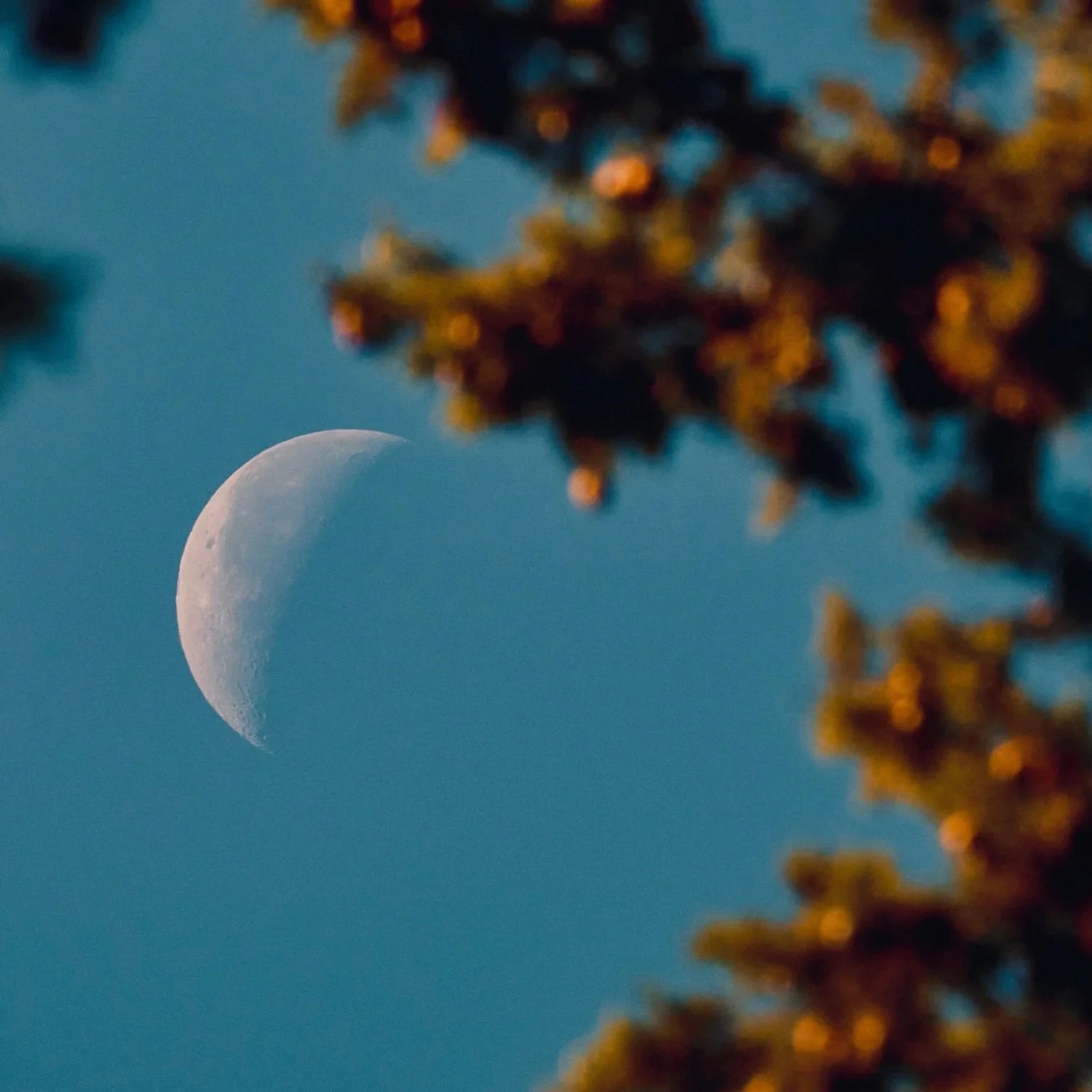 A new moon invites us into the quiet before the beginning. 🌑✨

A space to pause.
To listen inward.
To notice what we&rsquo;re ready to release&hellip; and what we&rsquo;re ready to nurture into being.

This new moon carries themes of balance, harmon