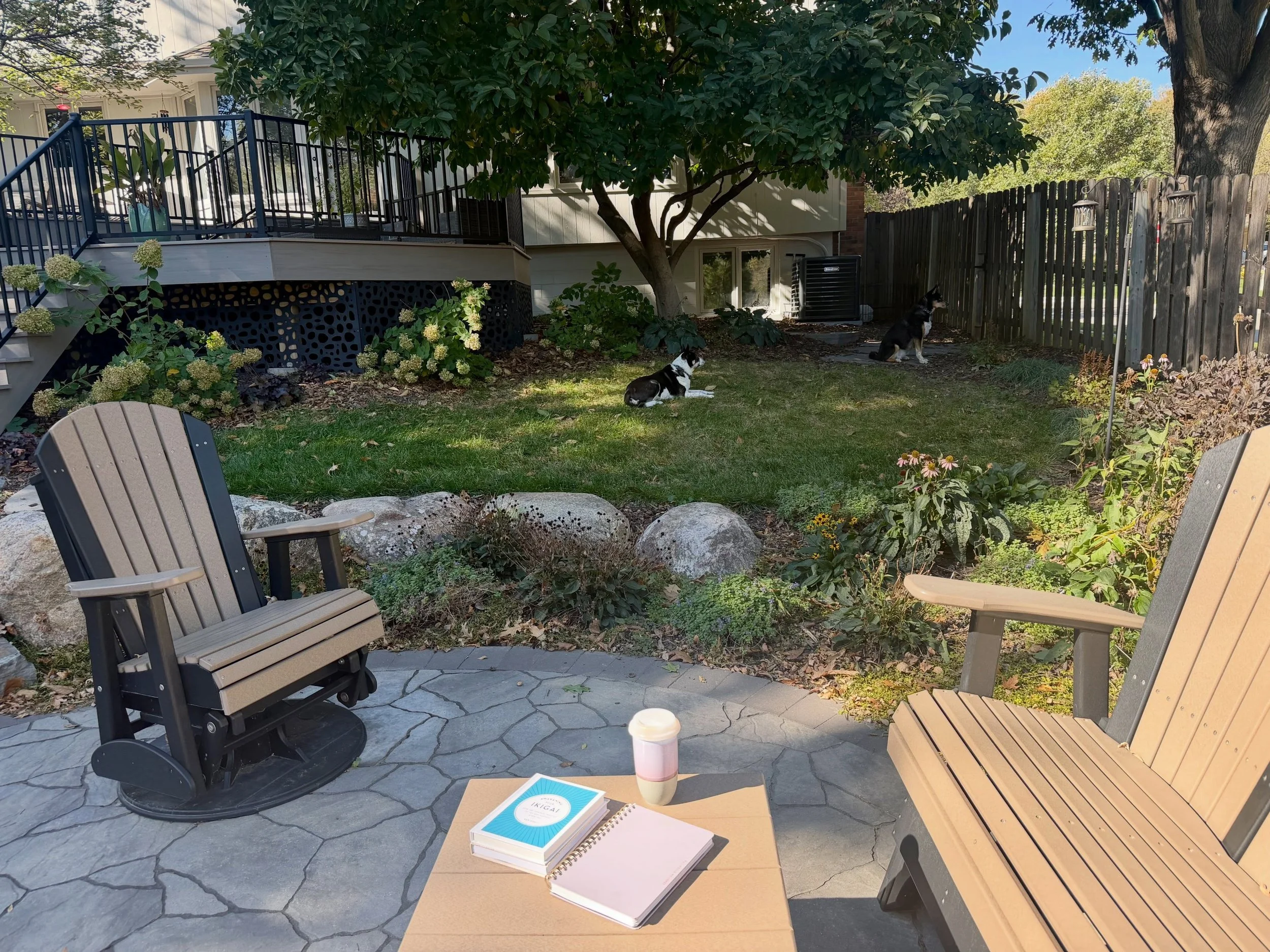 ✨
Current office. Current coworkers. Current curriculum. ☕️🐾🐿️📚

Turns out building what&rsquo;s next can look a lot like sitting in the sunshine, listening inward, and following what feels most alive.

I could get used to this. ✨
