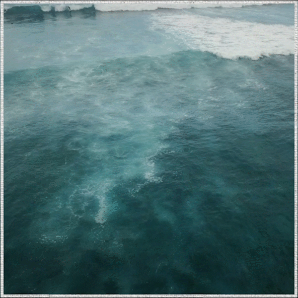 4181_AZ_PremIngredient_SeaSalt_opt2_v2.gif