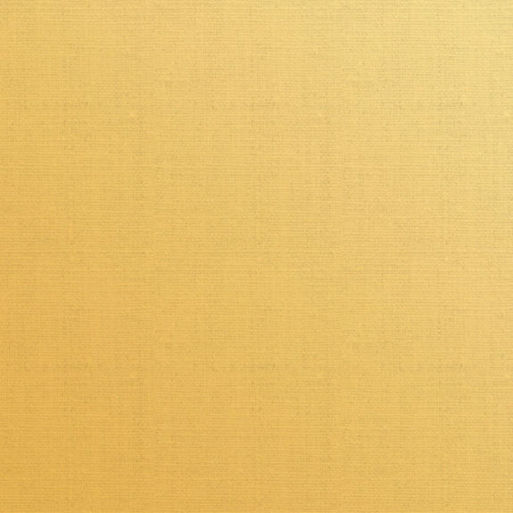 AZ_PermissionSlip_4-TalkingOnThePhone_v6.gif