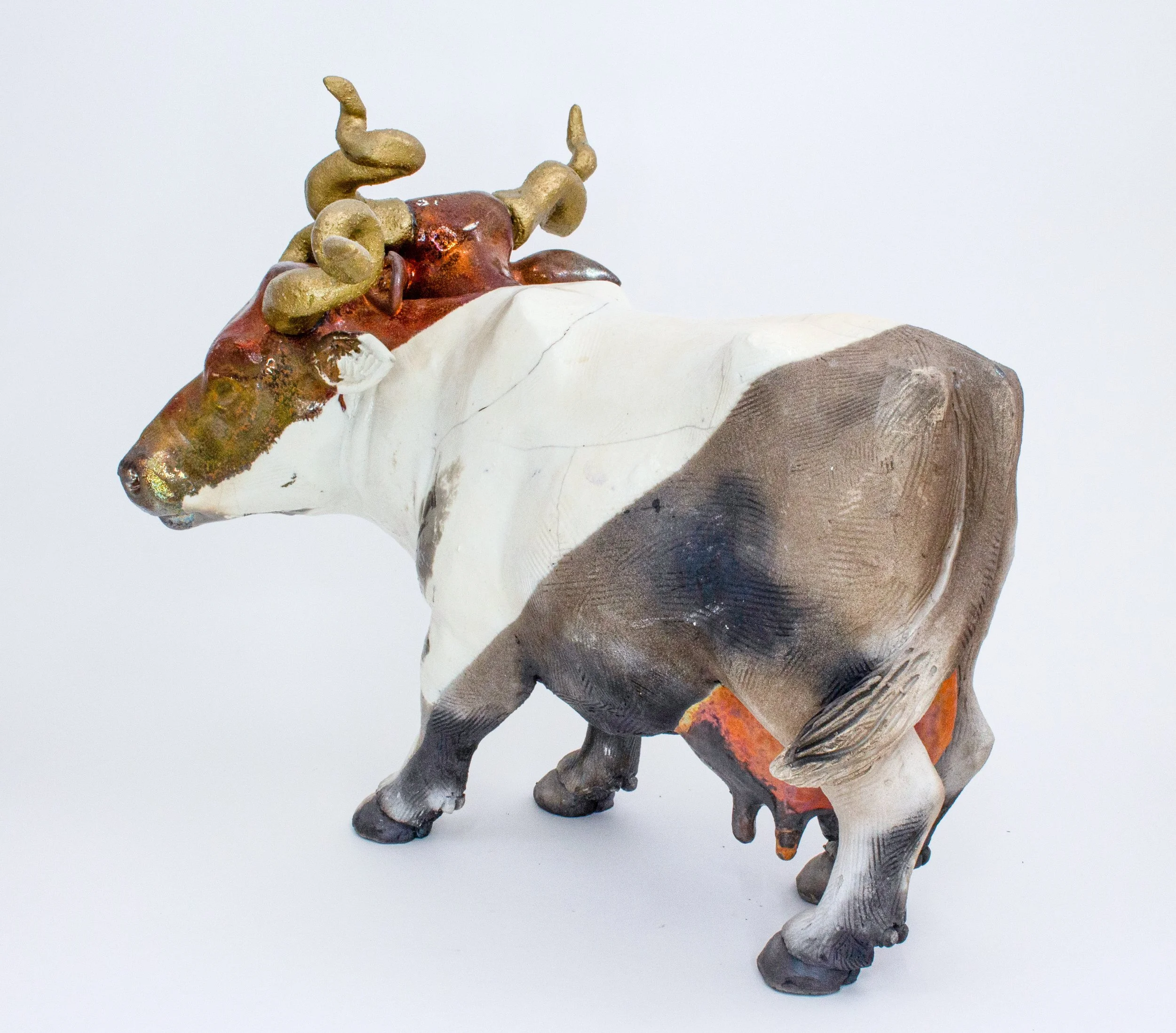 double headed cow05-Edit.jpg