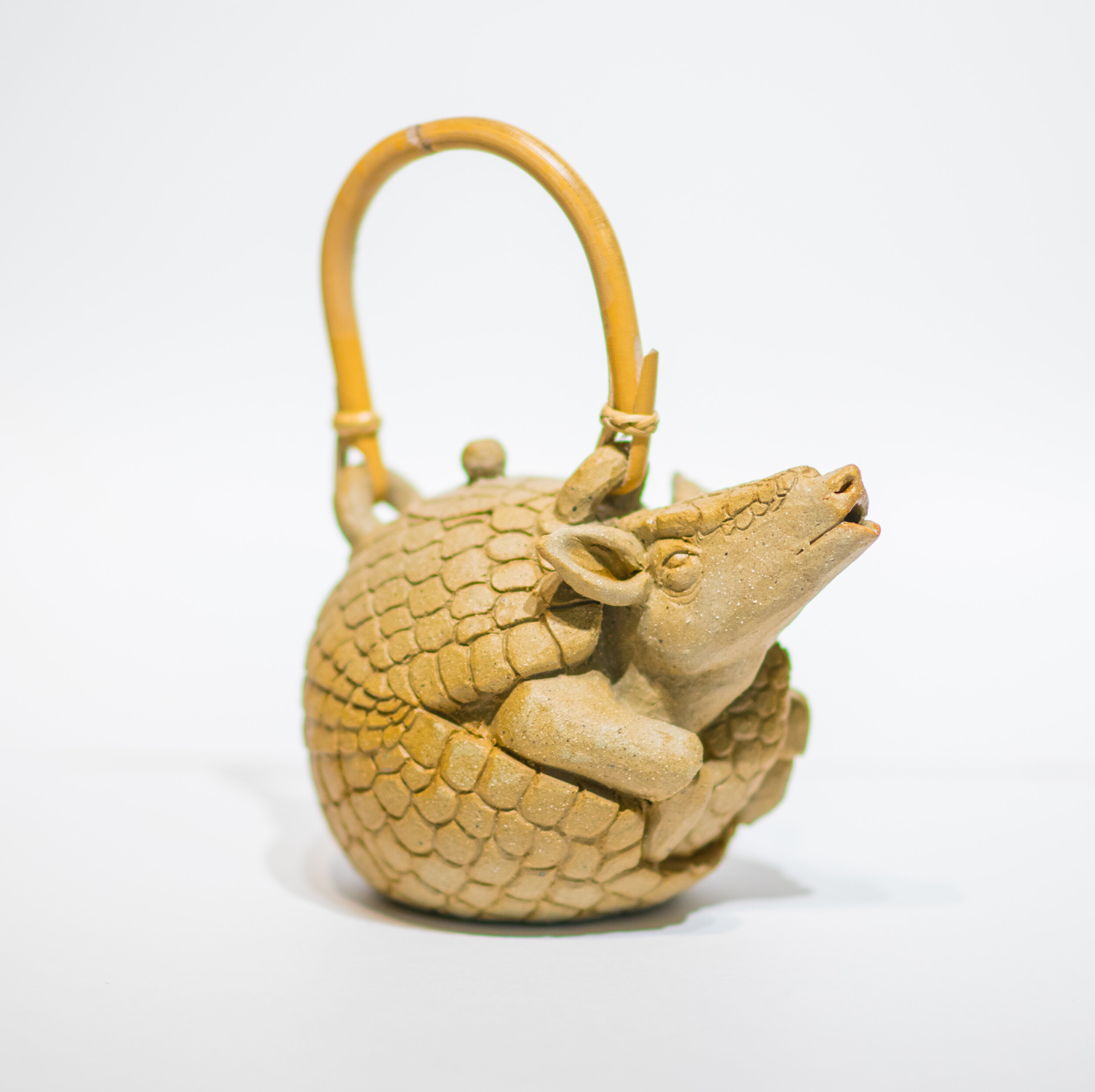 Armadillo Teapot
