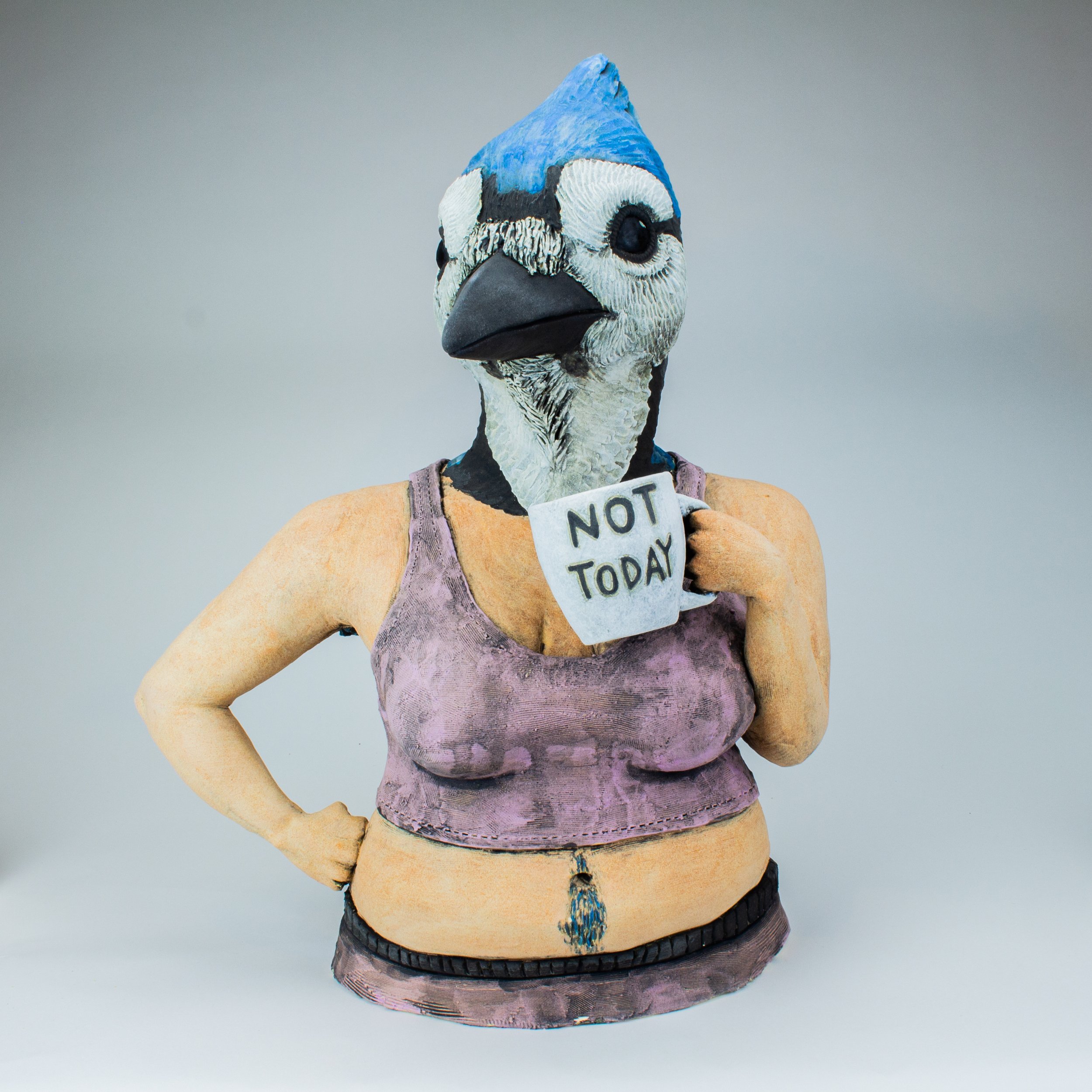 grumpy birds_blue jay.jpg