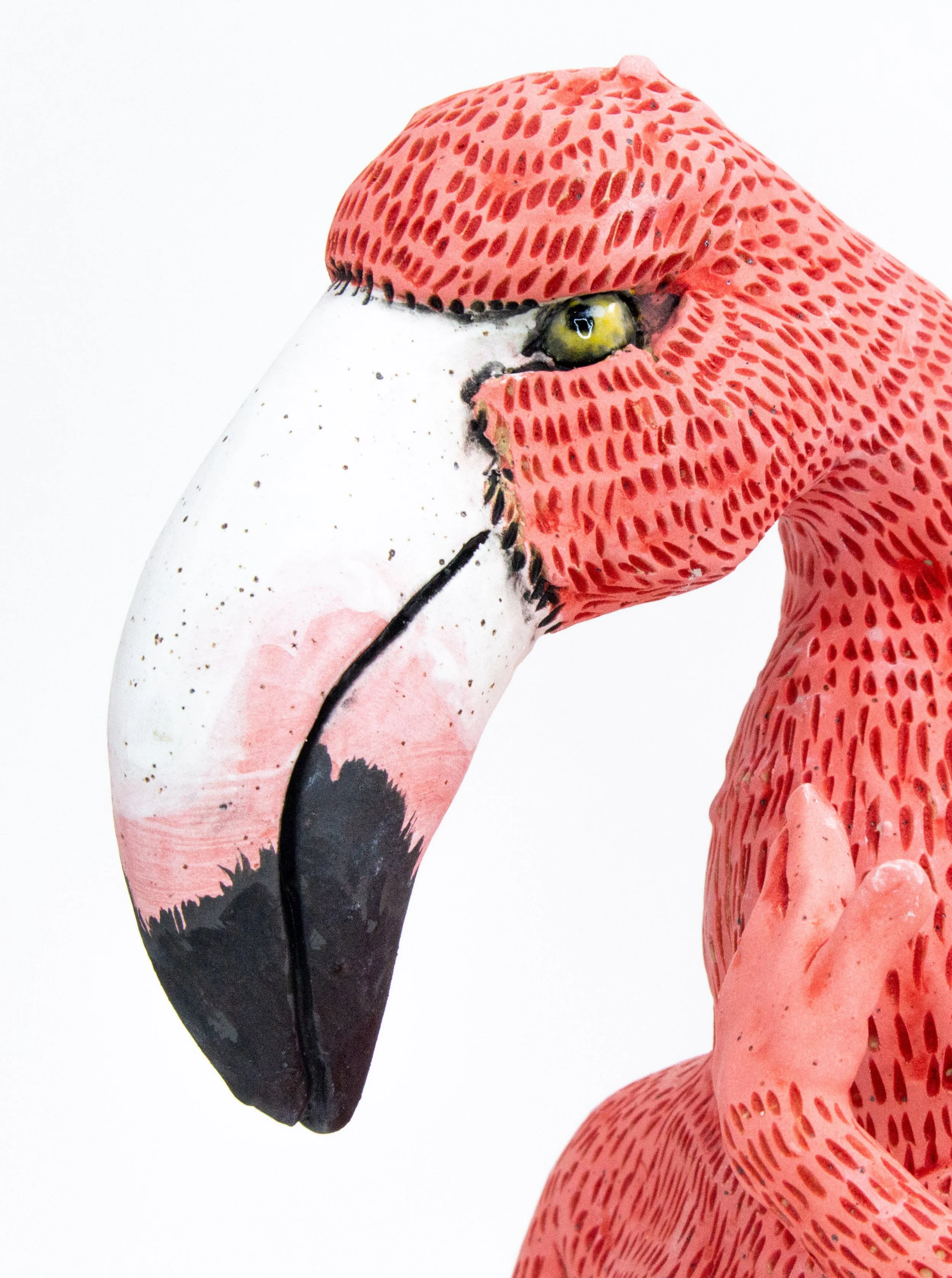 pnk flamingo25.jpg