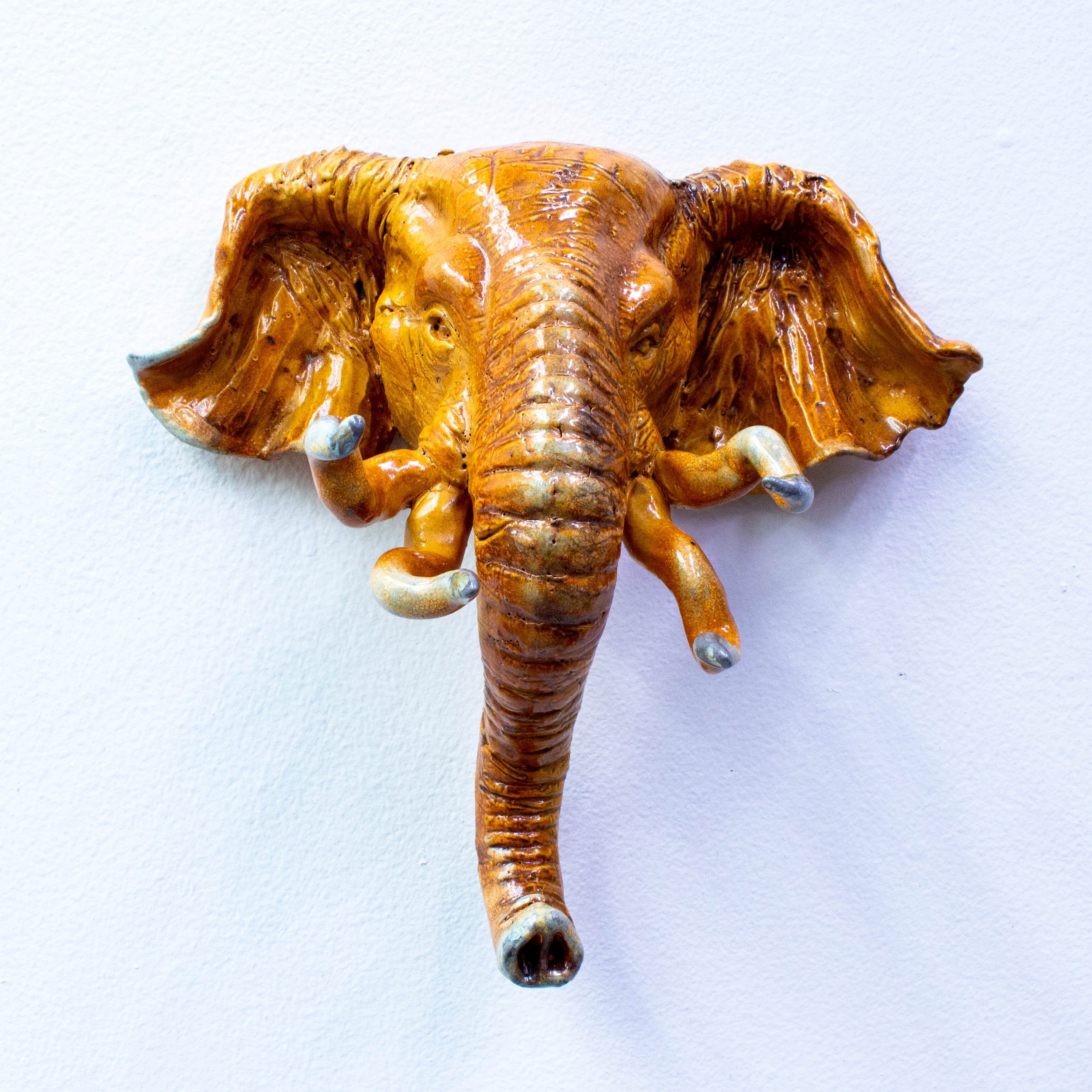 elephant face-17.jpg