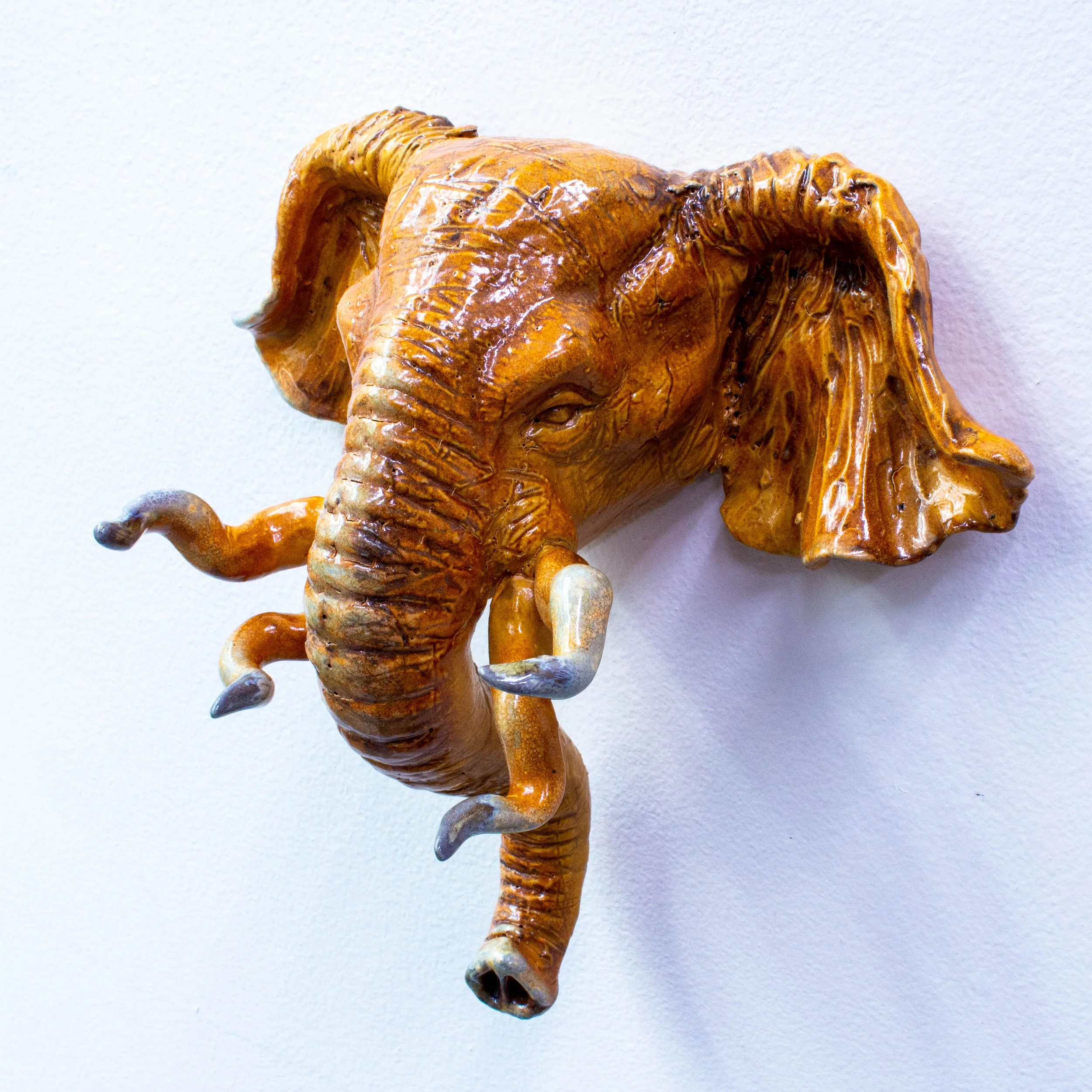 elephant face-16.jpg