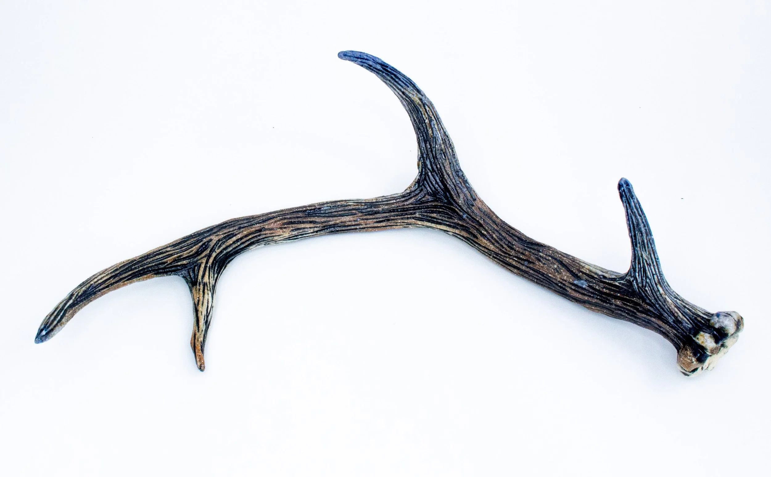 antler19.jpg