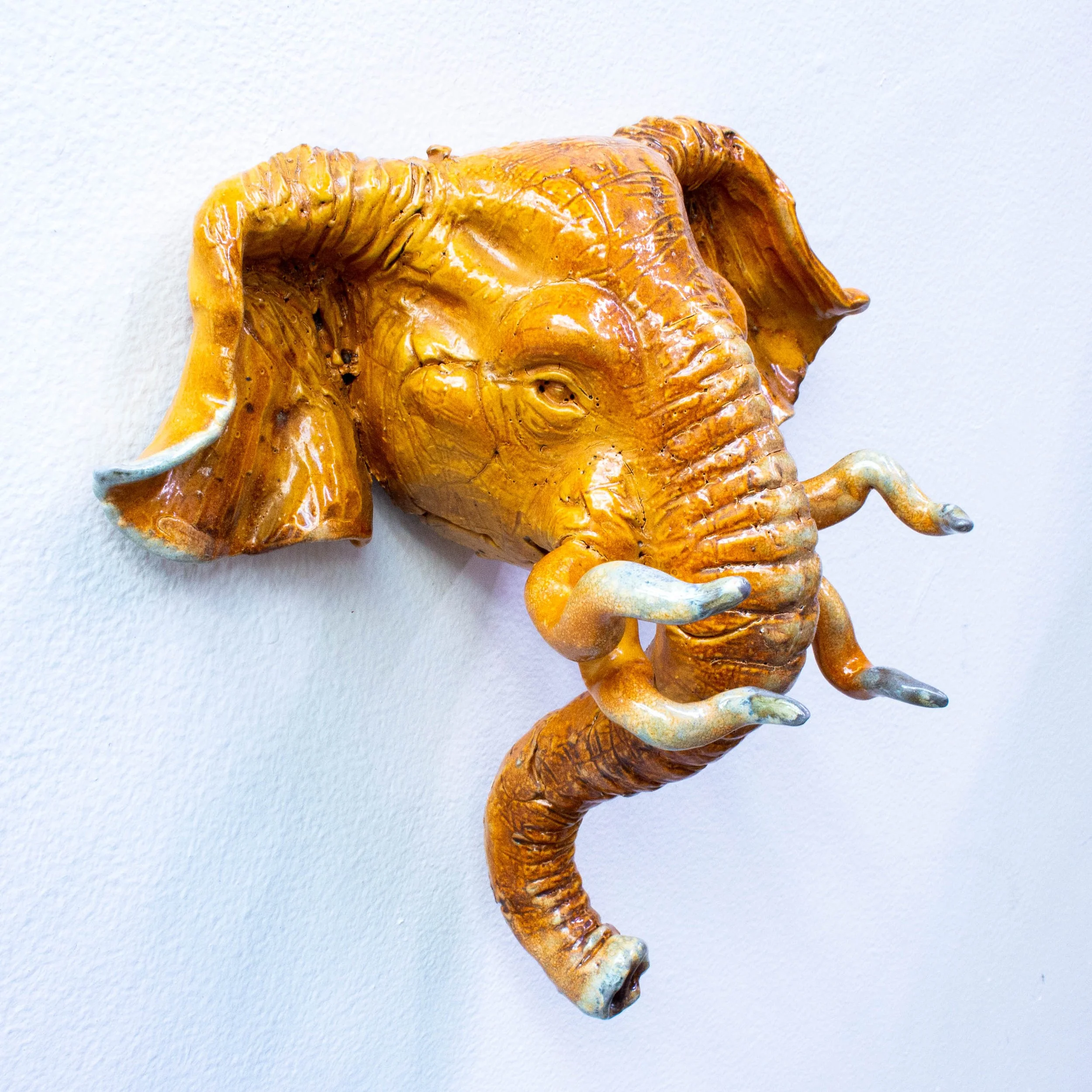 elephant face-15.jpg