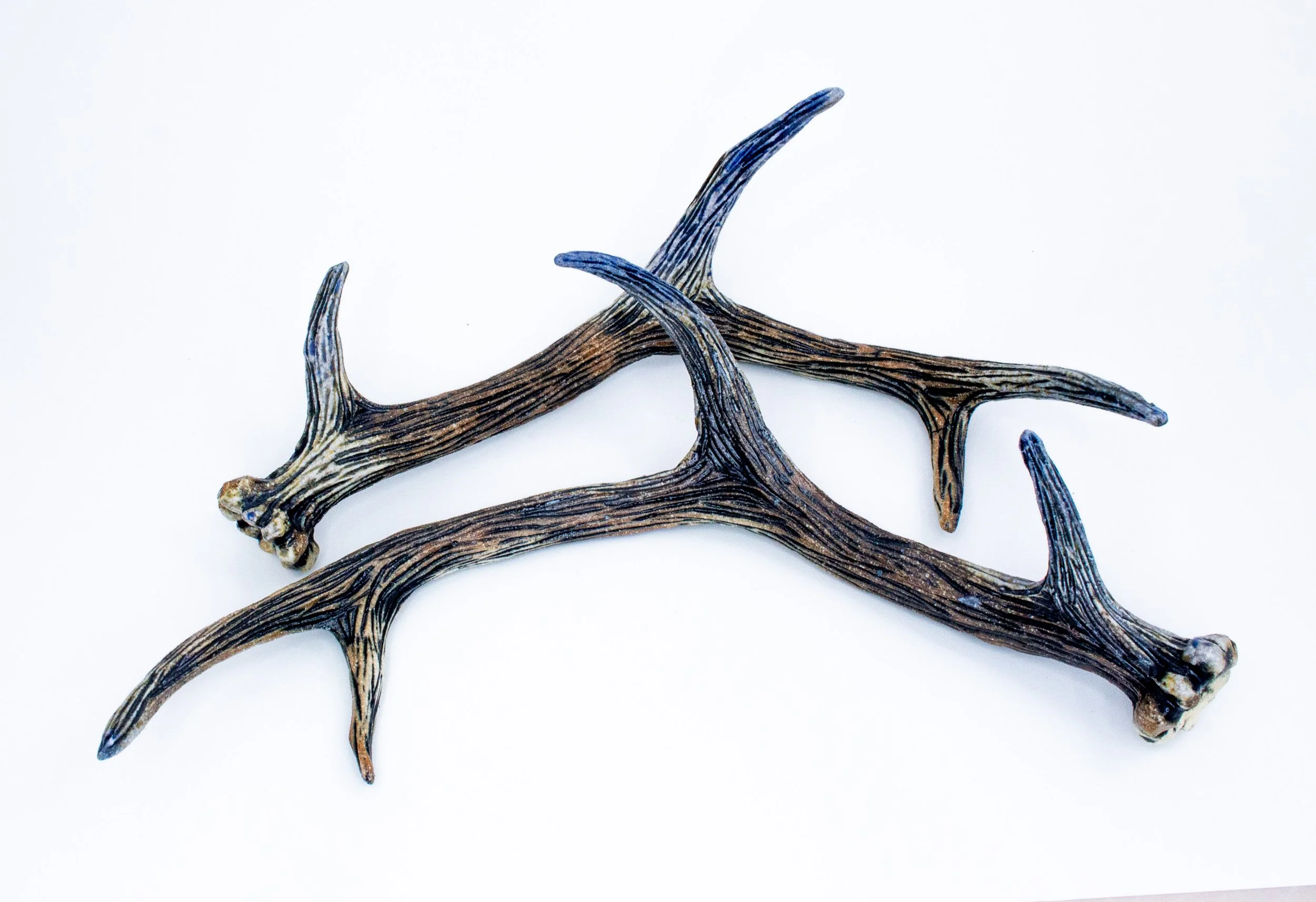 antler20-Edit.jpg