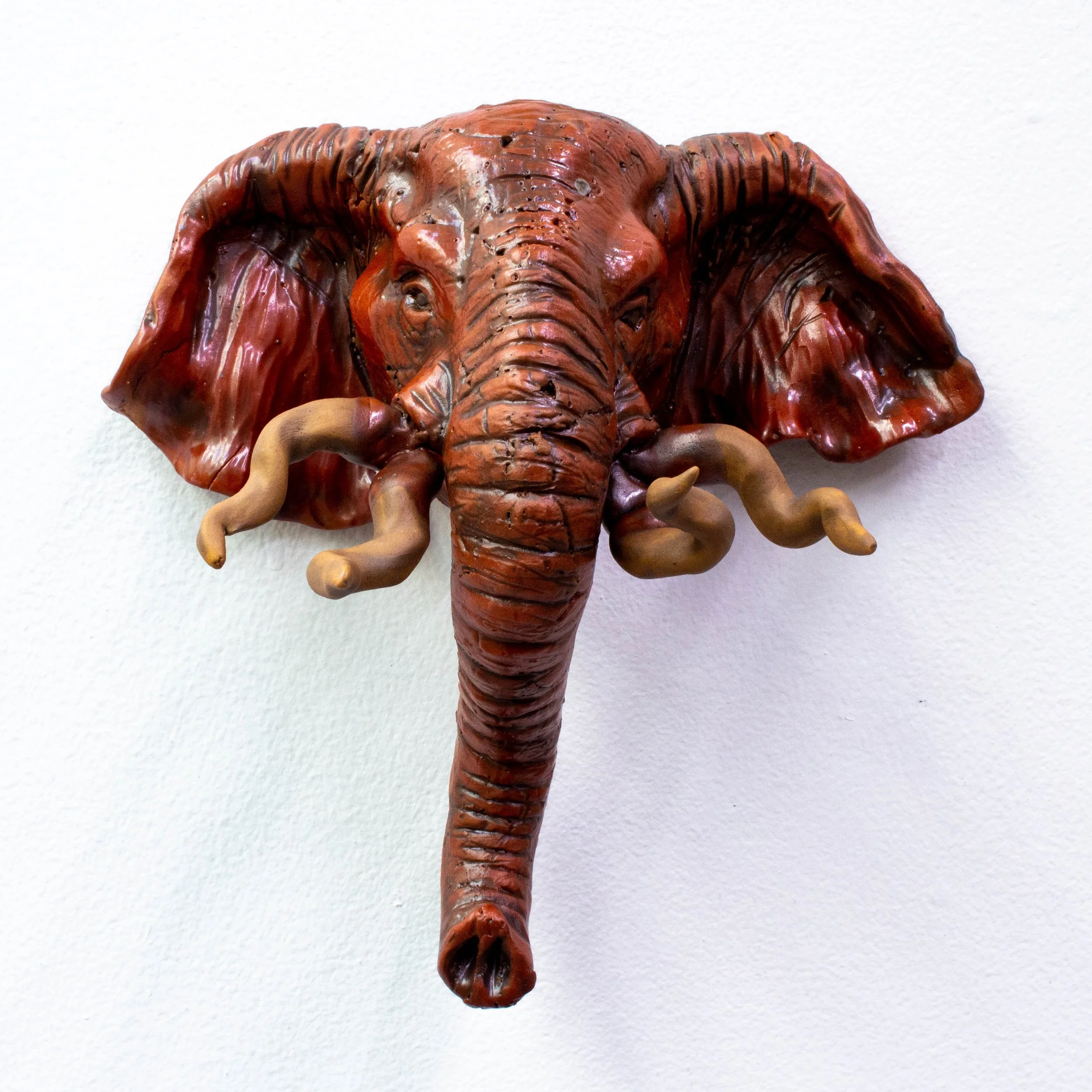 elephant face-5.jpg