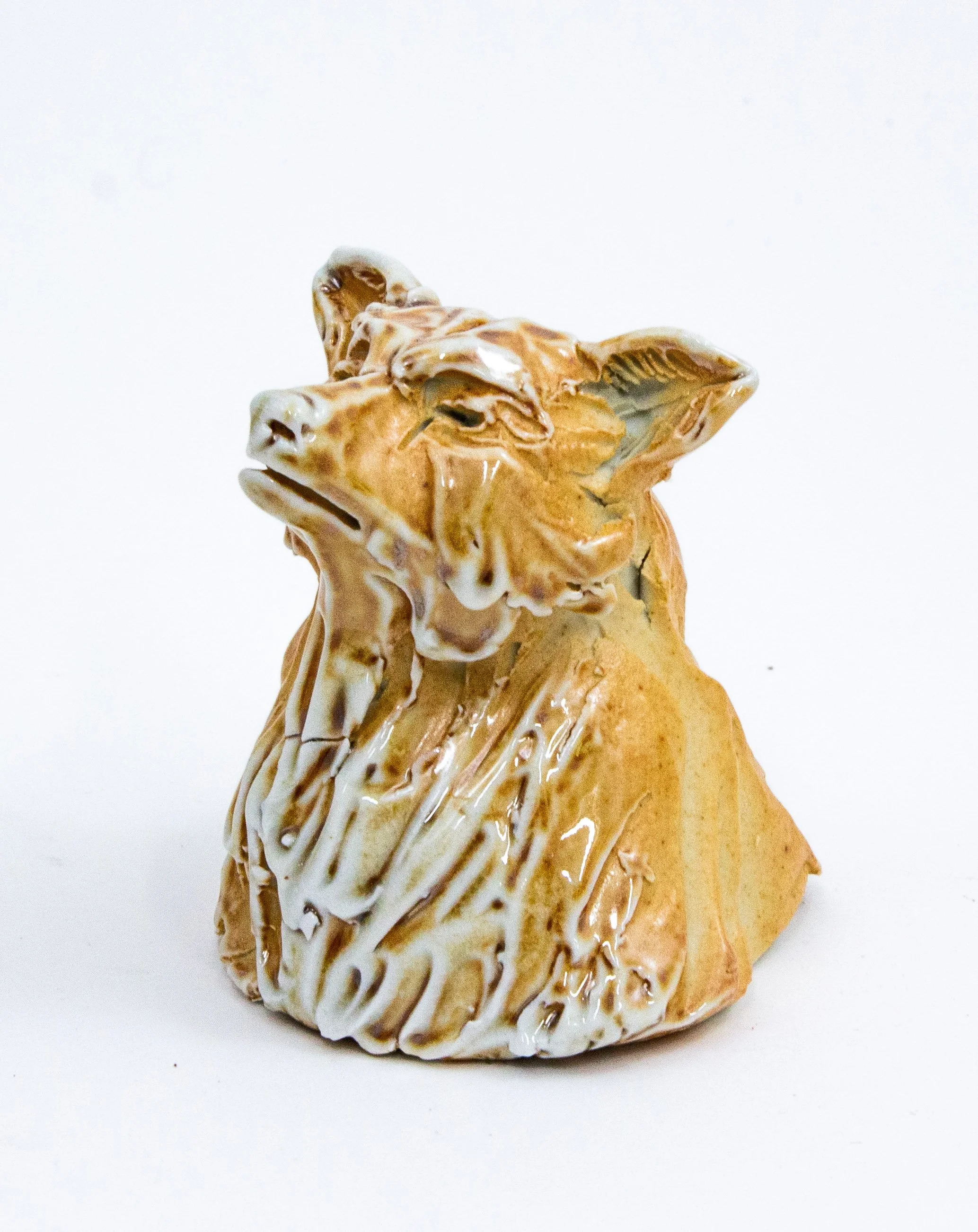 international bear80.jpg