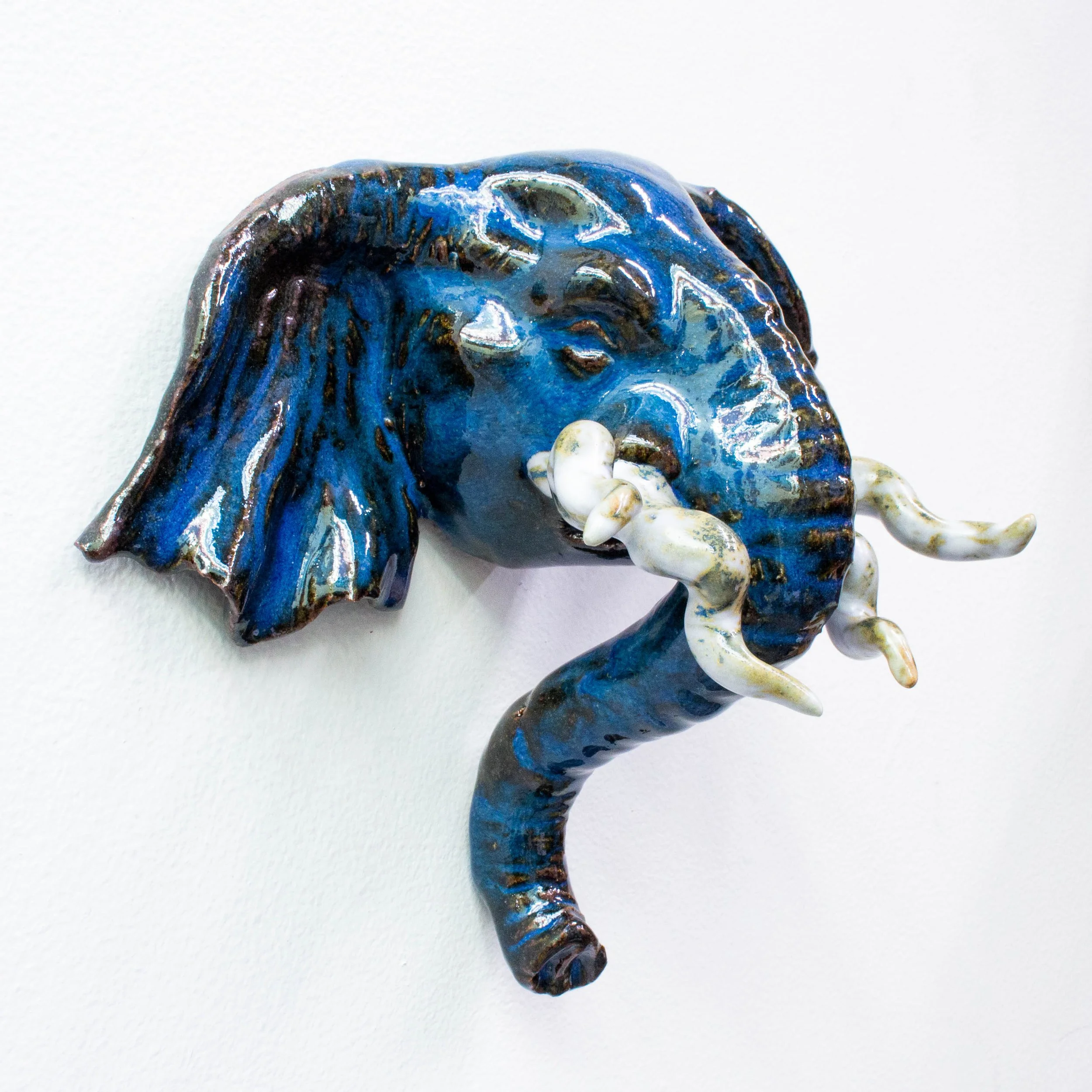 elephant face-19.jpg