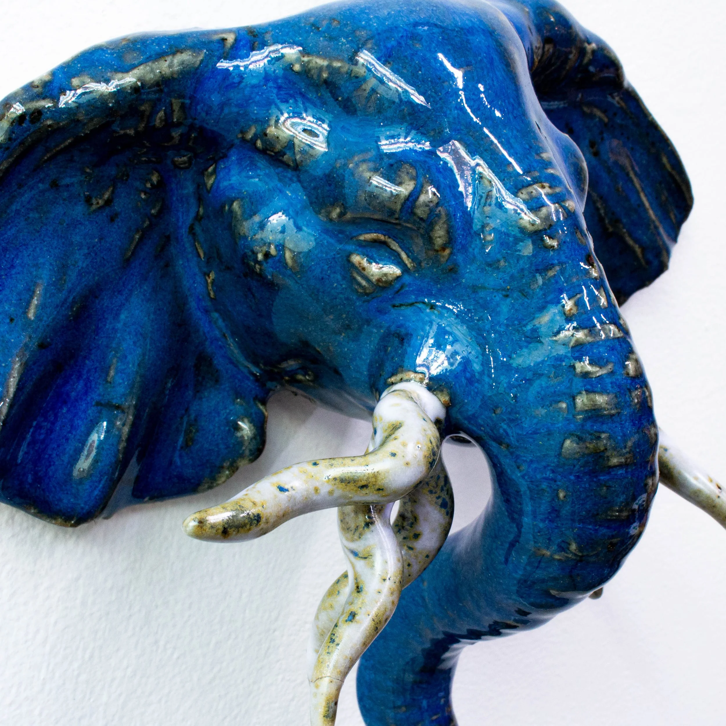 elephant face-13.jpg