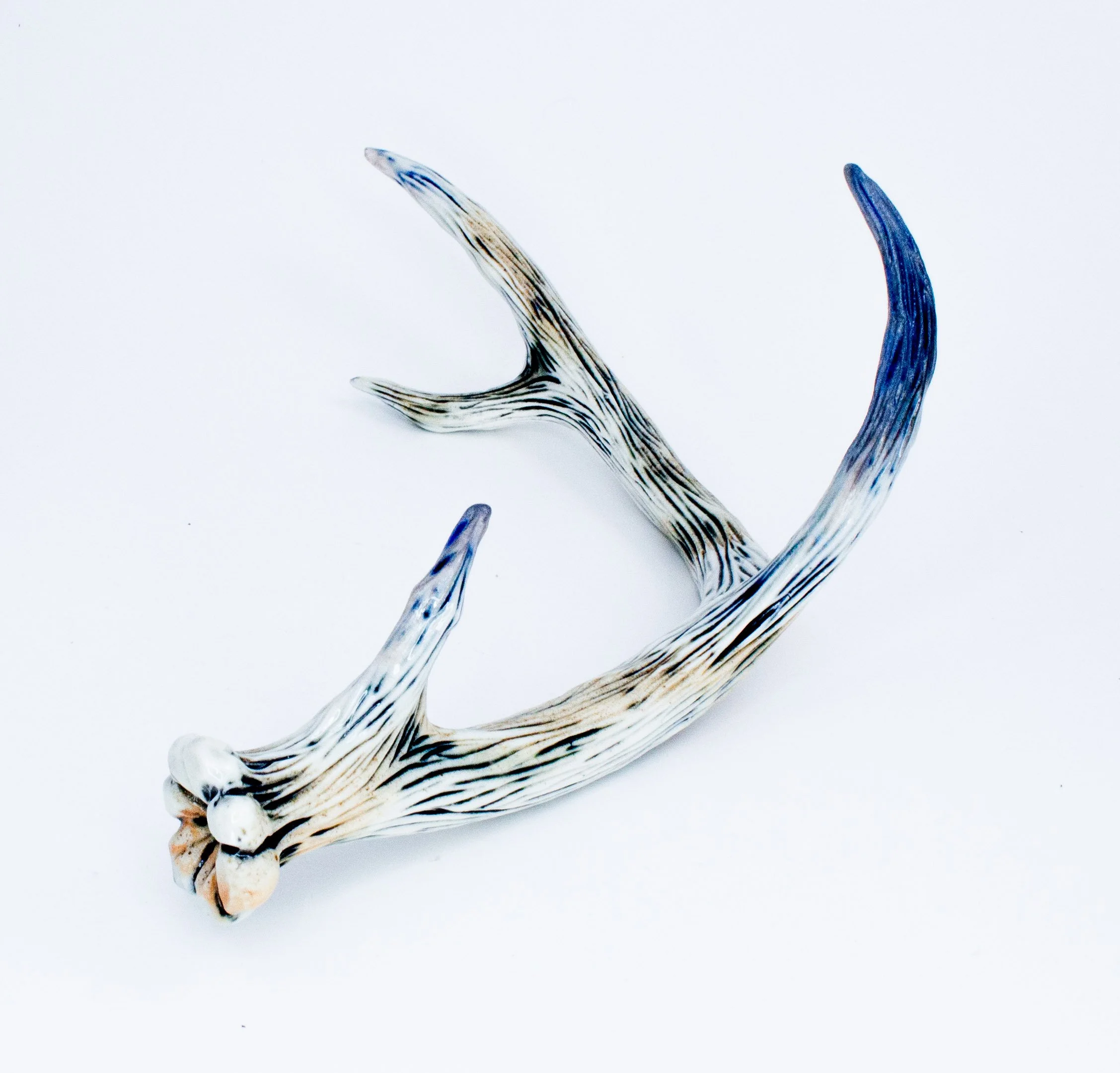 antler29.jpg