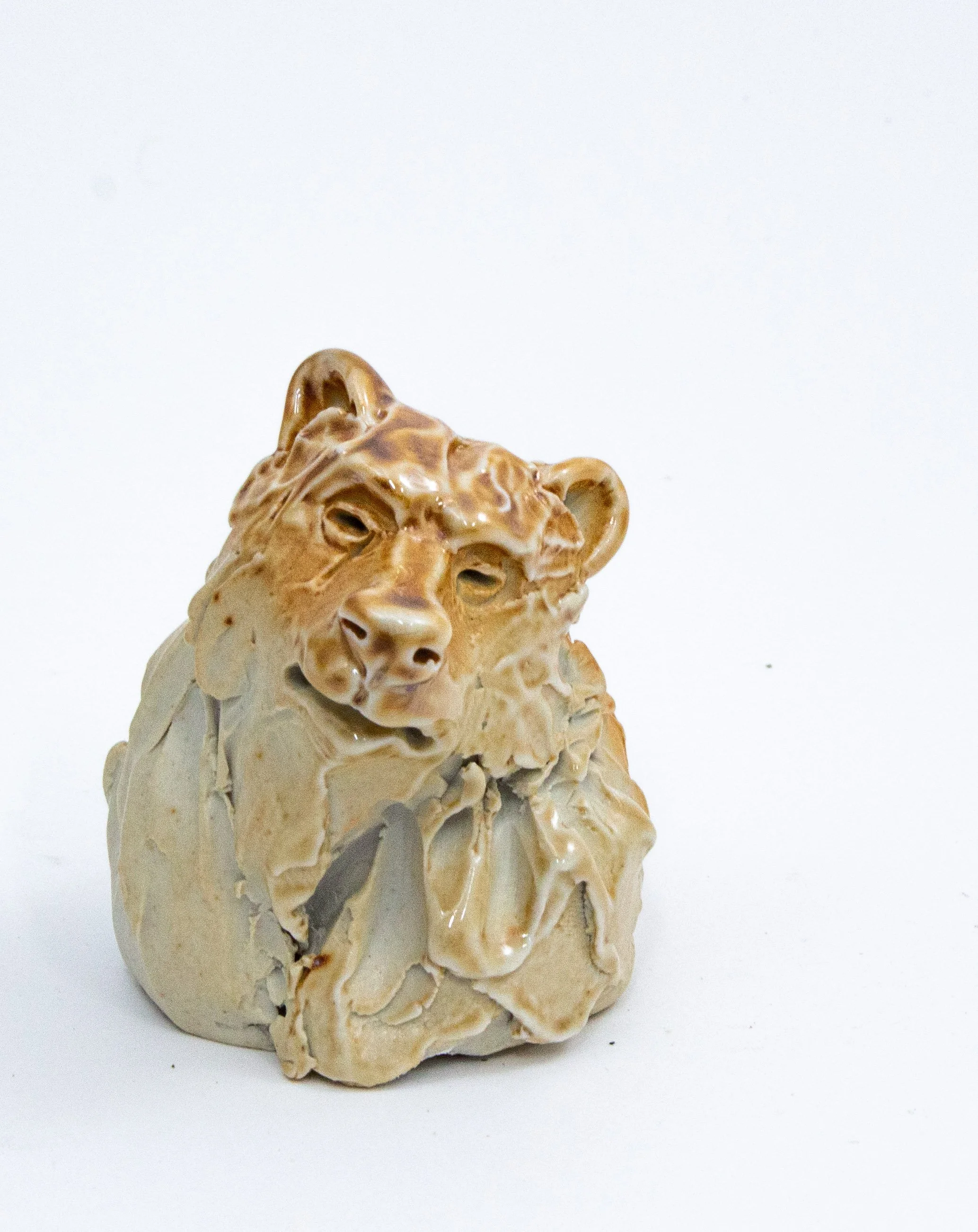 international bear88.jpg