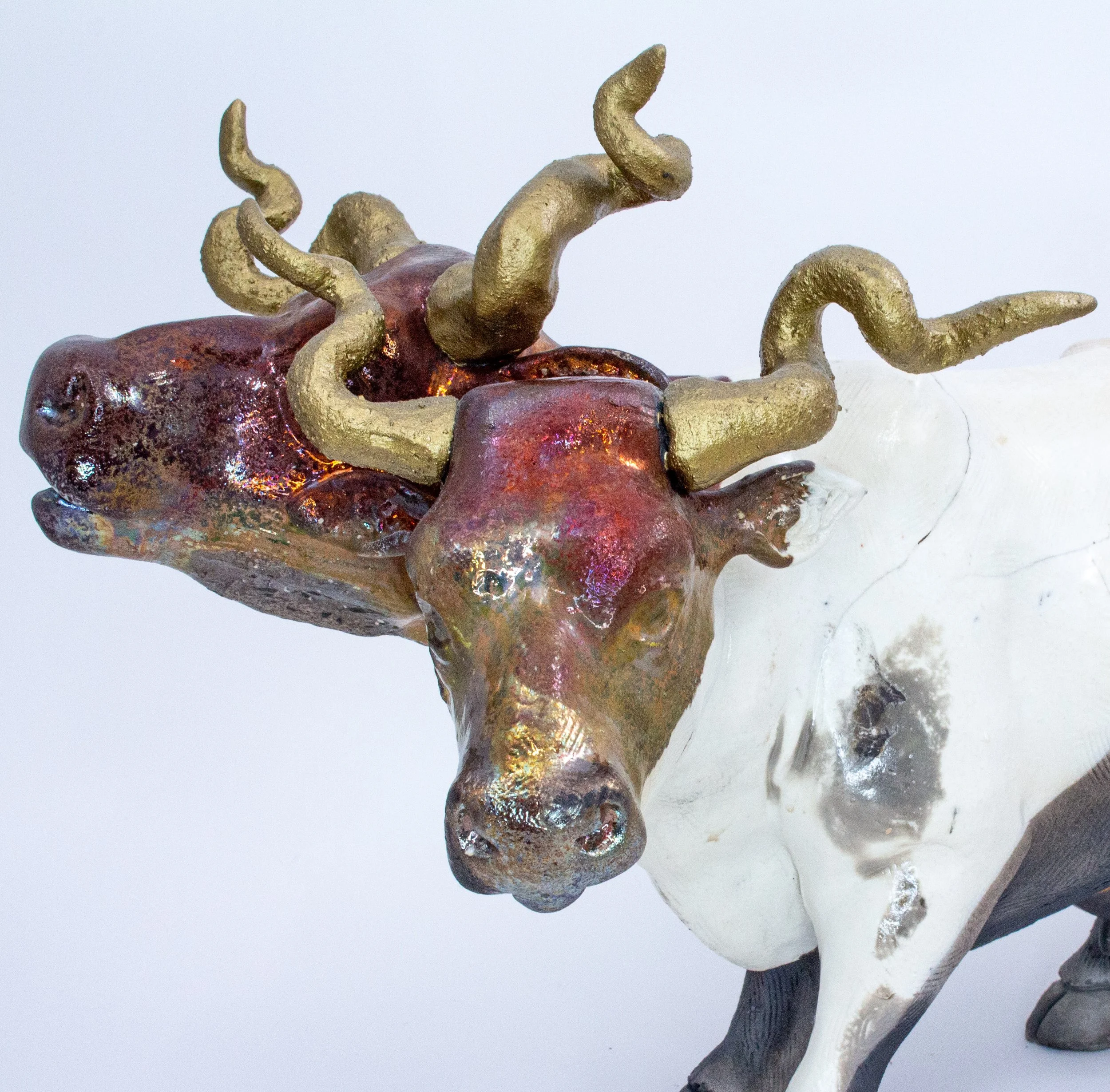 double headed cow04.jpg