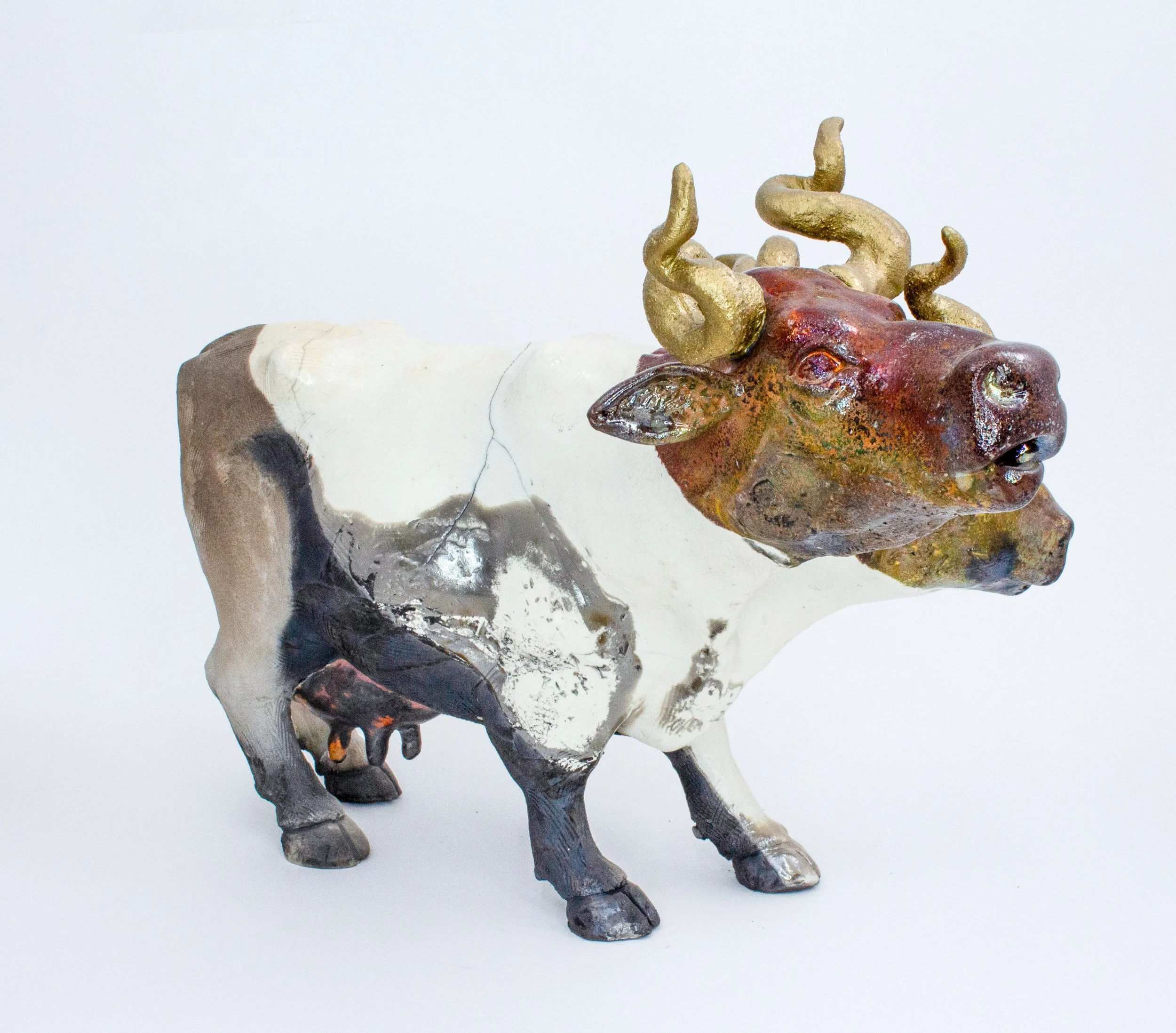 double headed cow02-Edit.jpg